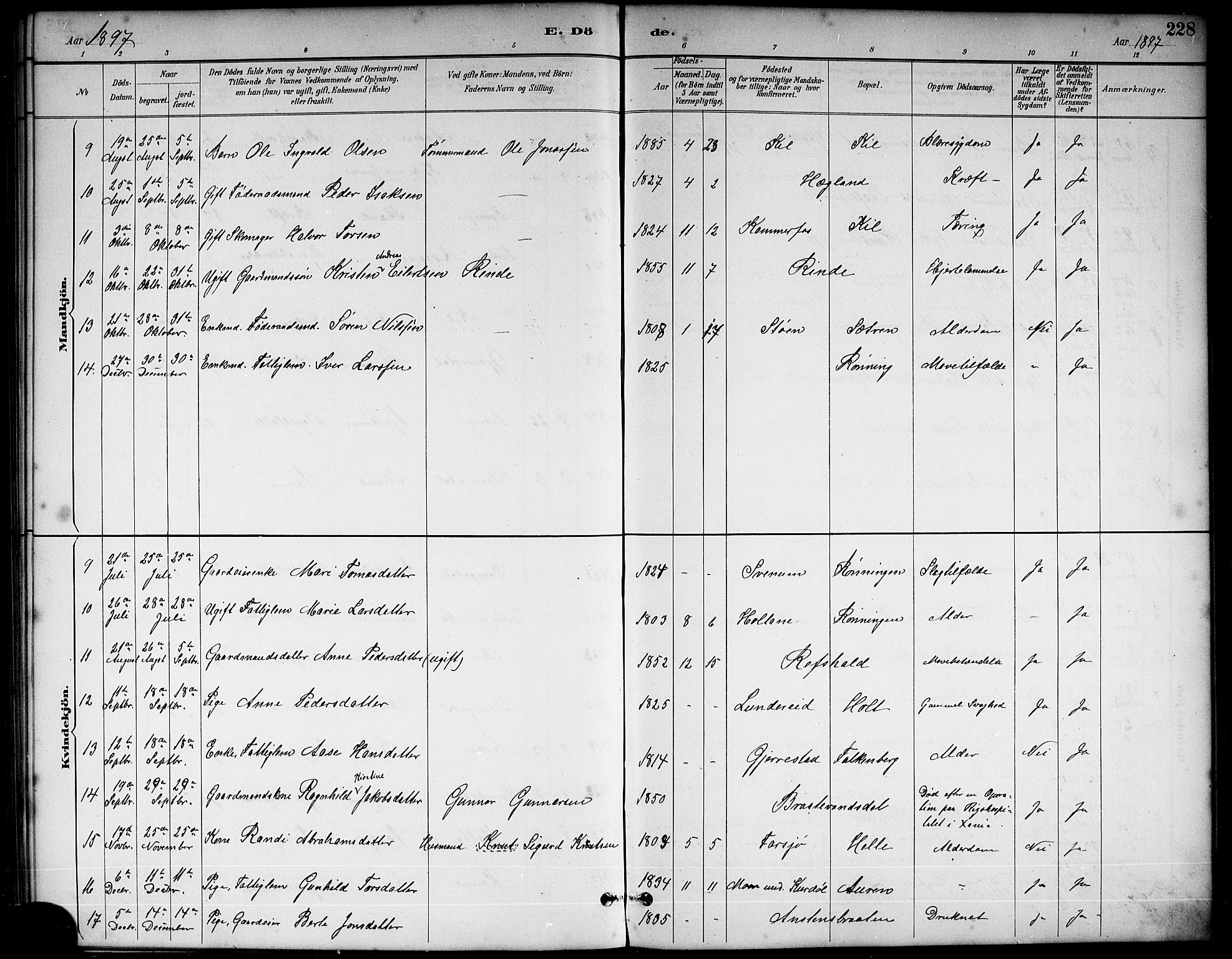 Sannidal kirkebøker, AV/SAKO-A-296/G/Ga/L0003: Parish register (copy) no. 3, 1887-1922, p. 228