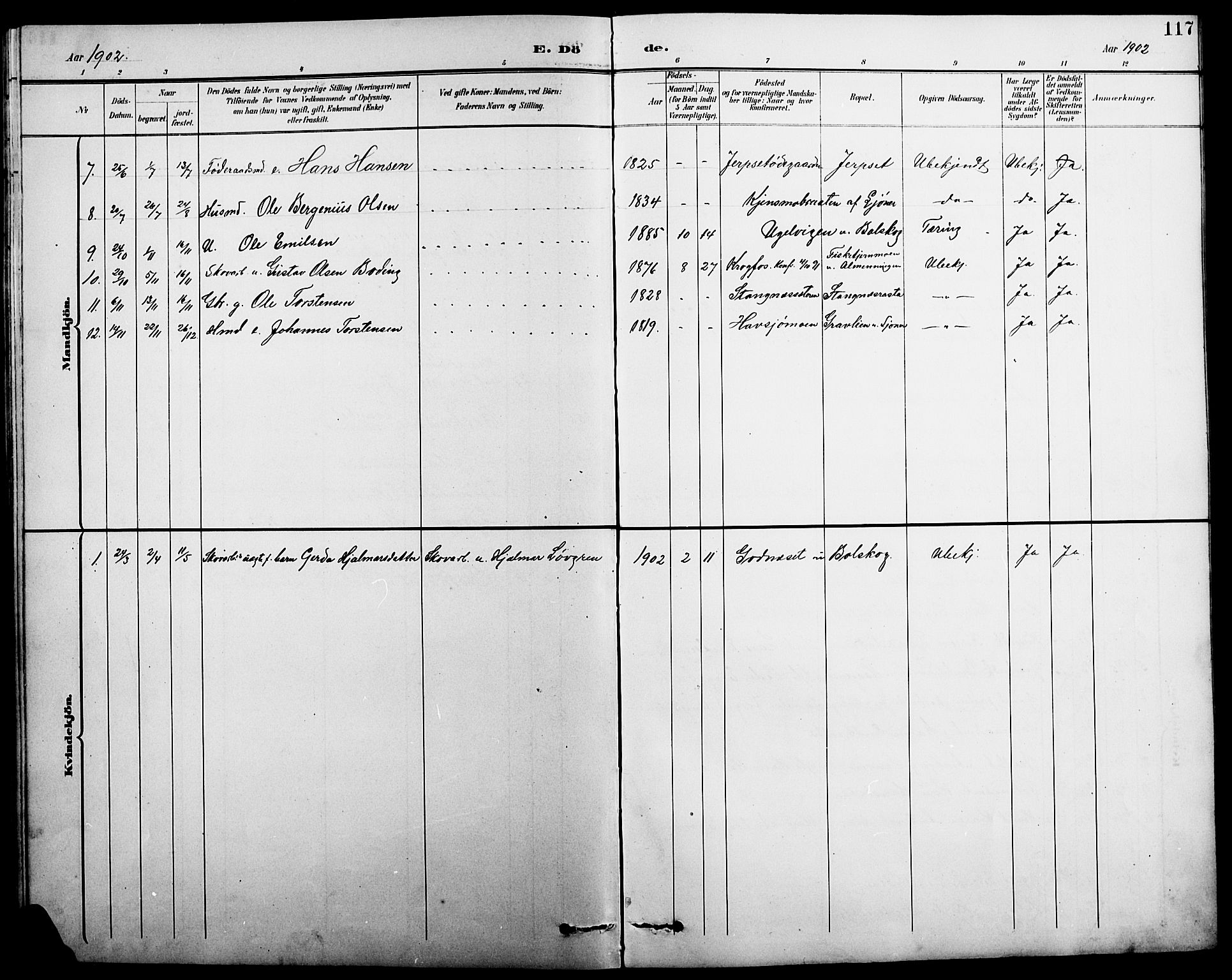 Eidskog prestekontor, AV/SAH-PREST-026/H/Ha/Hab/L0002: Parish register (copy) no. 2, 1895-1923, p. 117