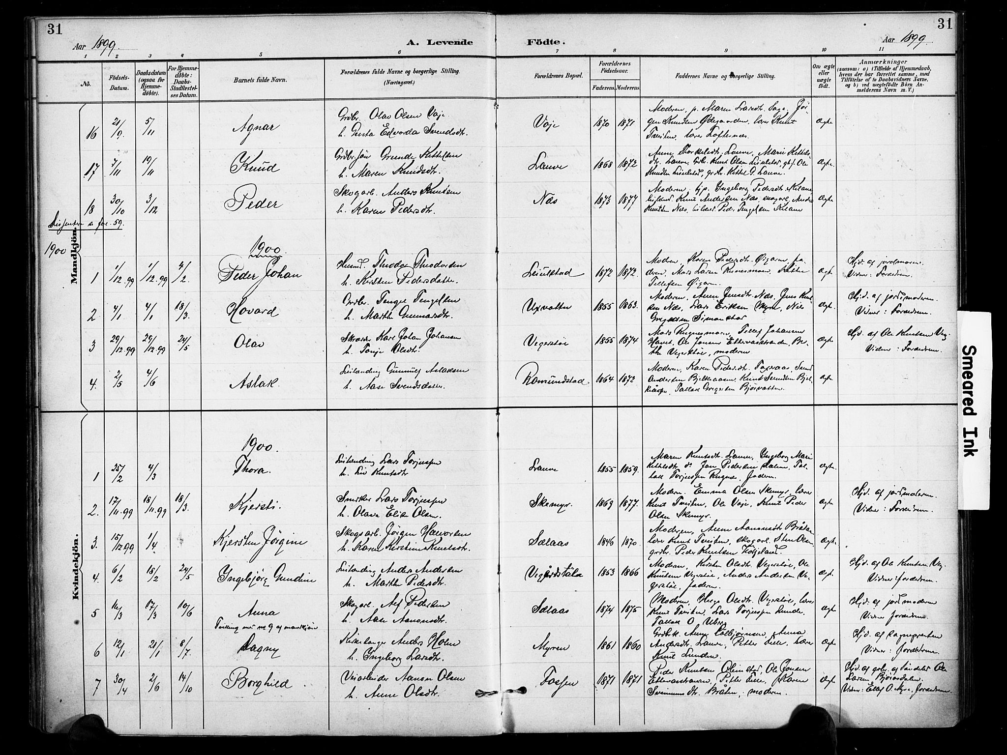 Gjerstad sokneprestkontor, AV/SAK-1111-0014/F/Fa/Fab/L0005: Parish register (official) no. A 5, 1891-1908, p. 31