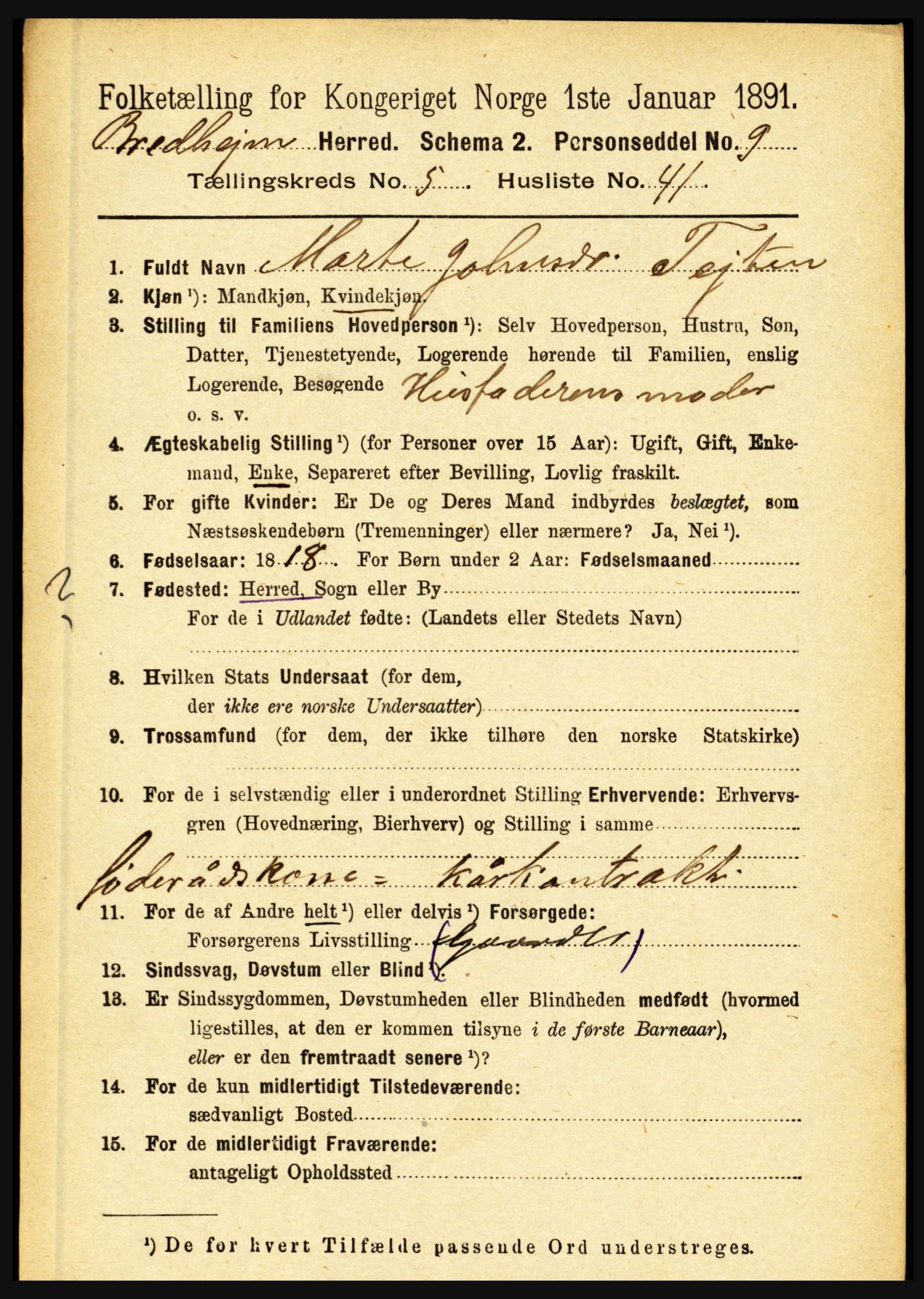 RA, 1891 census for 1446 Breim, 1891, p. 2049