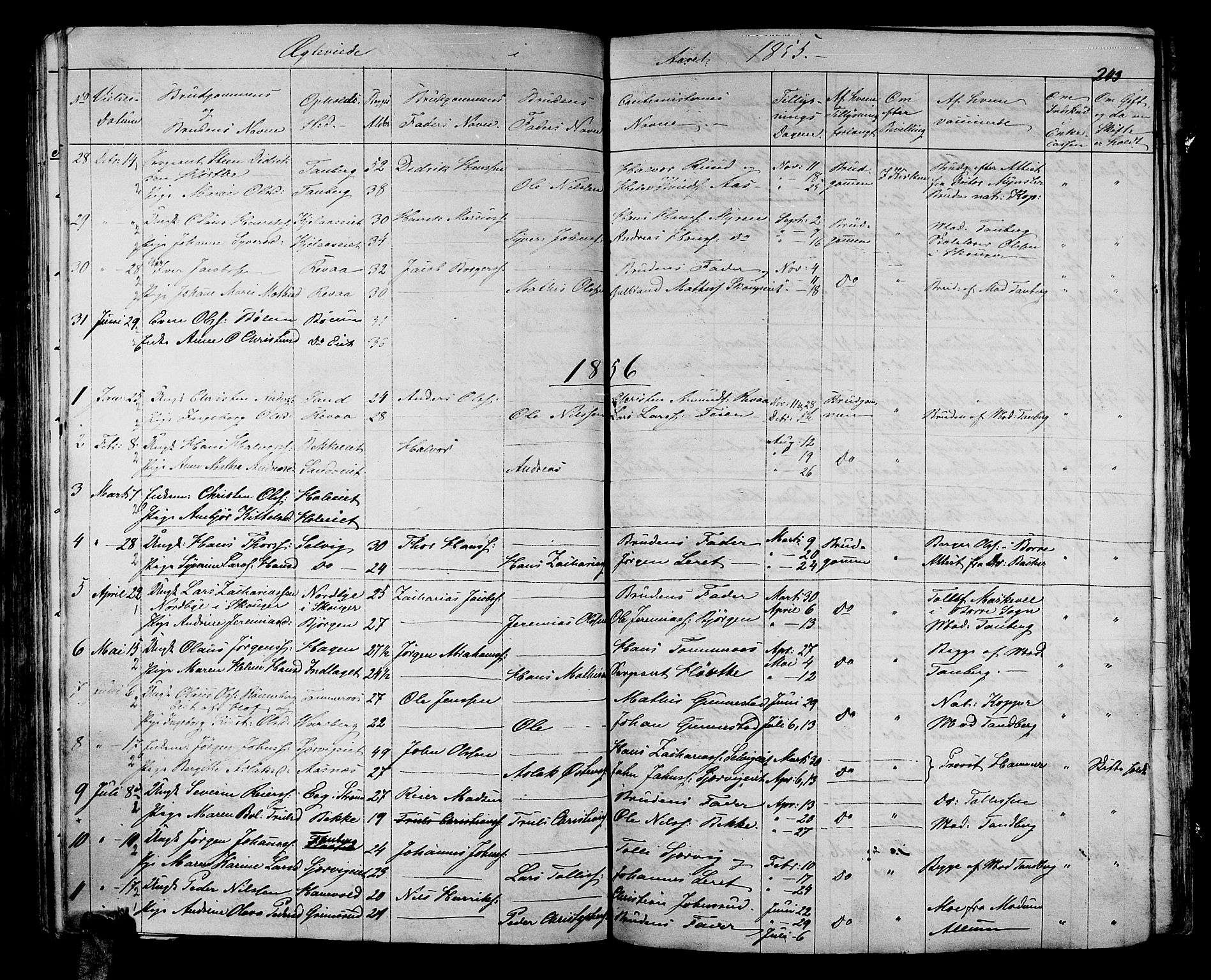 Sande Kirkebøker, AV/SAKO-A-53/G/Ga/L0002: Parish register (copy) no. 2, 1847-1863, p. 243