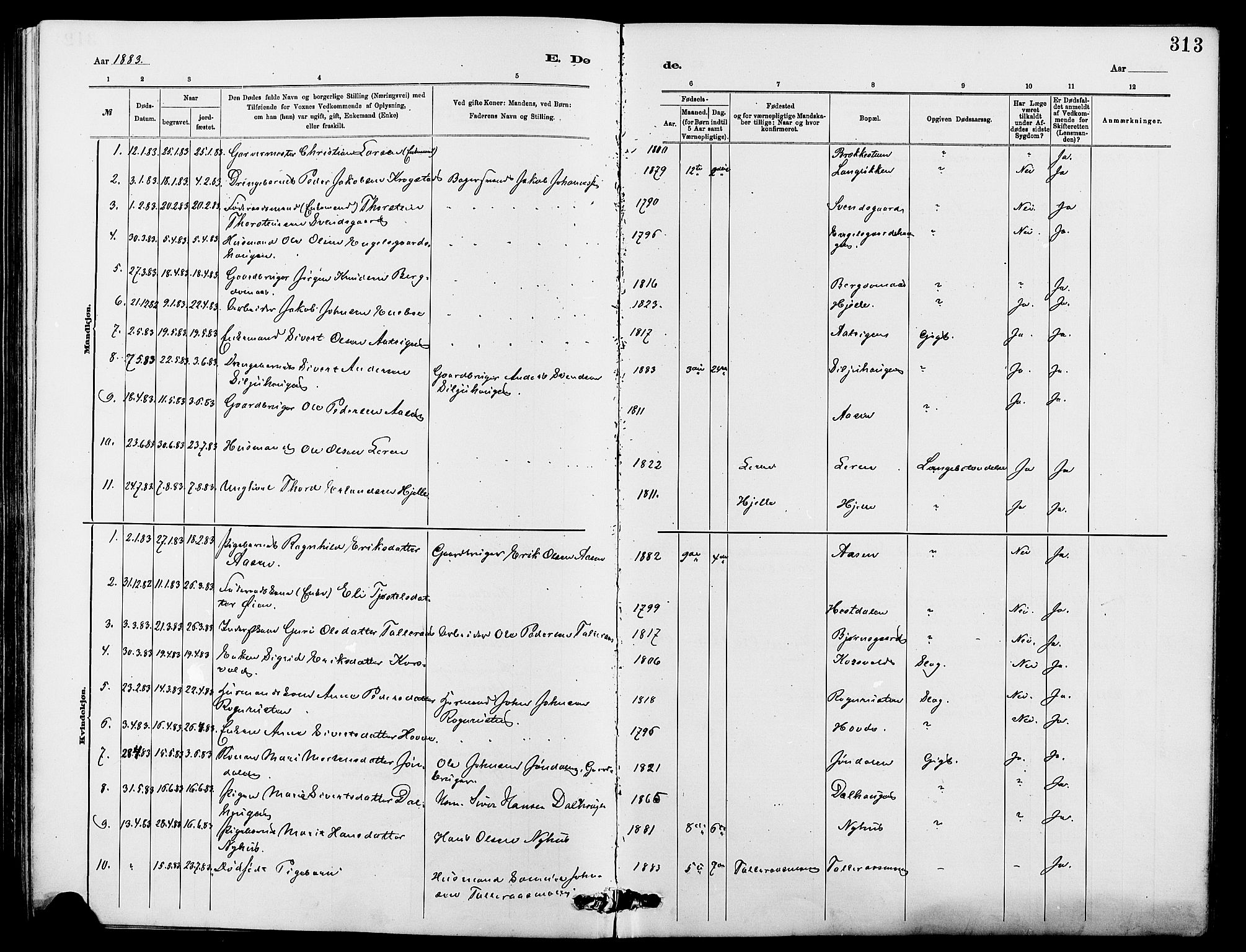 Dovre prestekontor, AV/SAH-PREST-066/H/Ha/Hab/L0002: Parish register (copy) no. 2, 1881-1907, p. 313