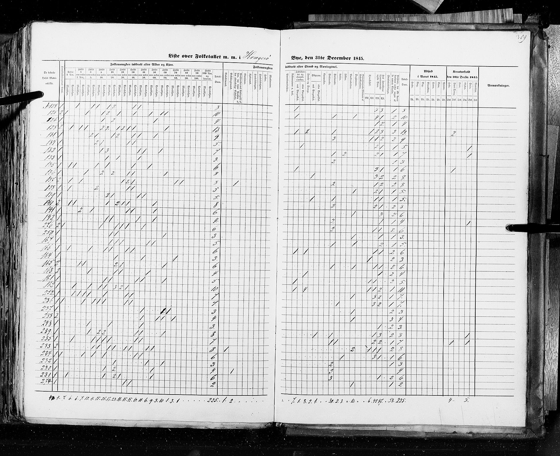 RA, Census 1845, vol. 10: Cities, 1845, p. 389