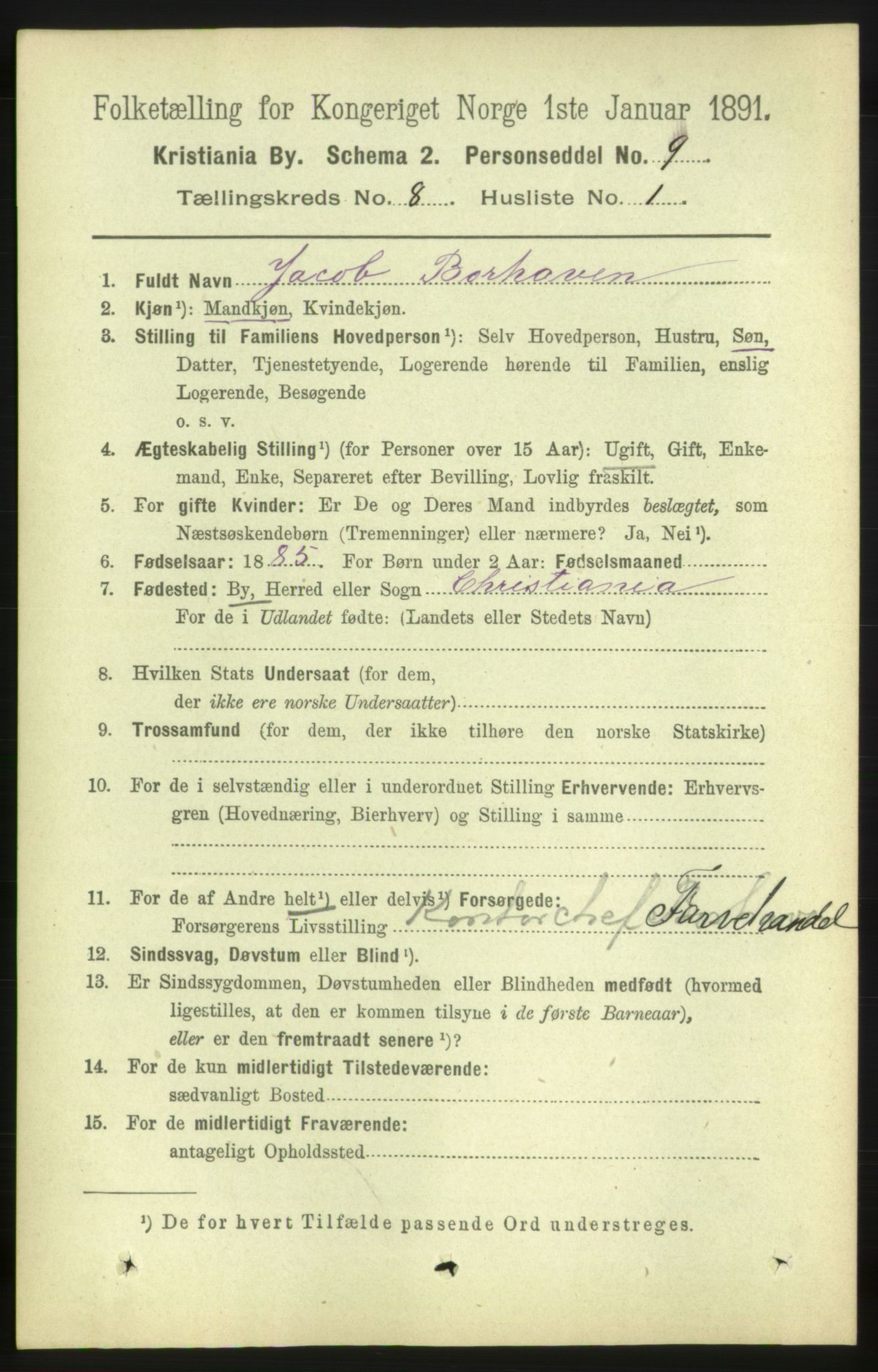 RA, 1891 census for 0301 Kristiania, 1891, p. 3339