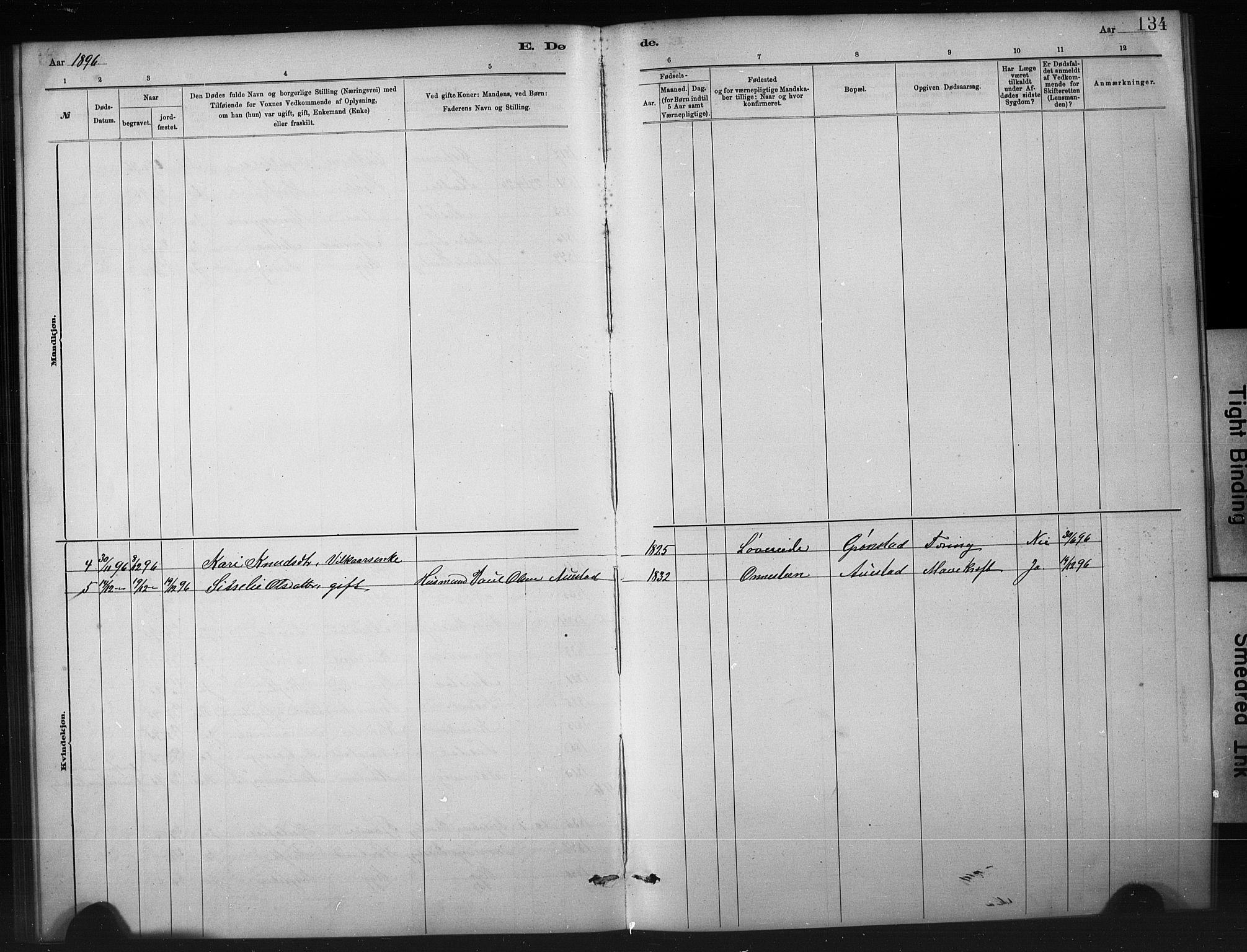Etne sokneprestembete, SAB/A-75001/H/Hab: Parish register (copy) no. A 5, 1879-1896, p. 134