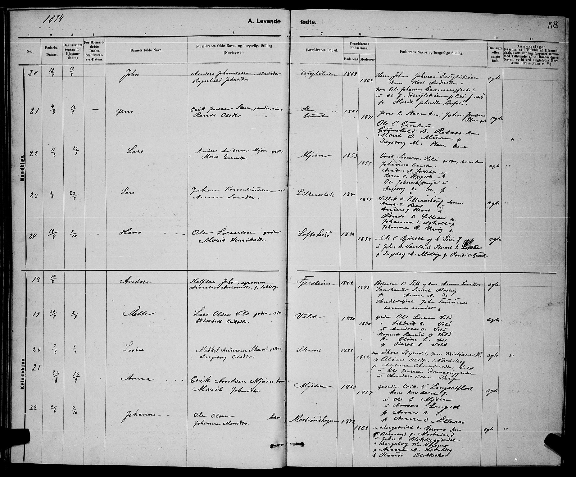 Ministerialprotokoller, klokkerbøker og fødselsregistre - Sør-Trøndelag, AV/SAT-A-1456/672/L0863: Parish register (copy) no. 672C02, 1888-1901, p. 58