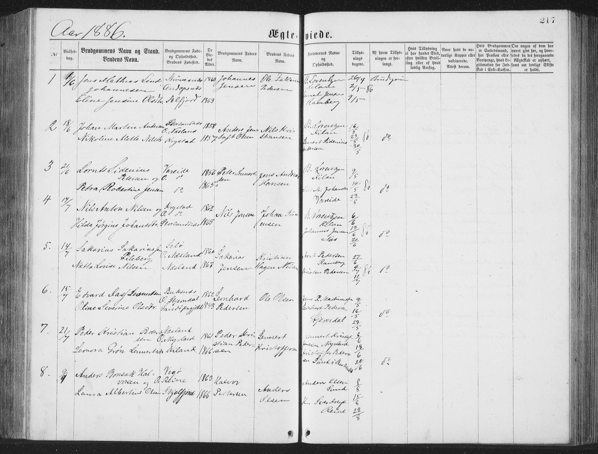 Ministerialprotokoller, klokkerbøker og fødselsregistre - Nordland, SAT/A-1459/885/L1213: Parish register (copy) no. 885C02, 1874-1892, p. 217