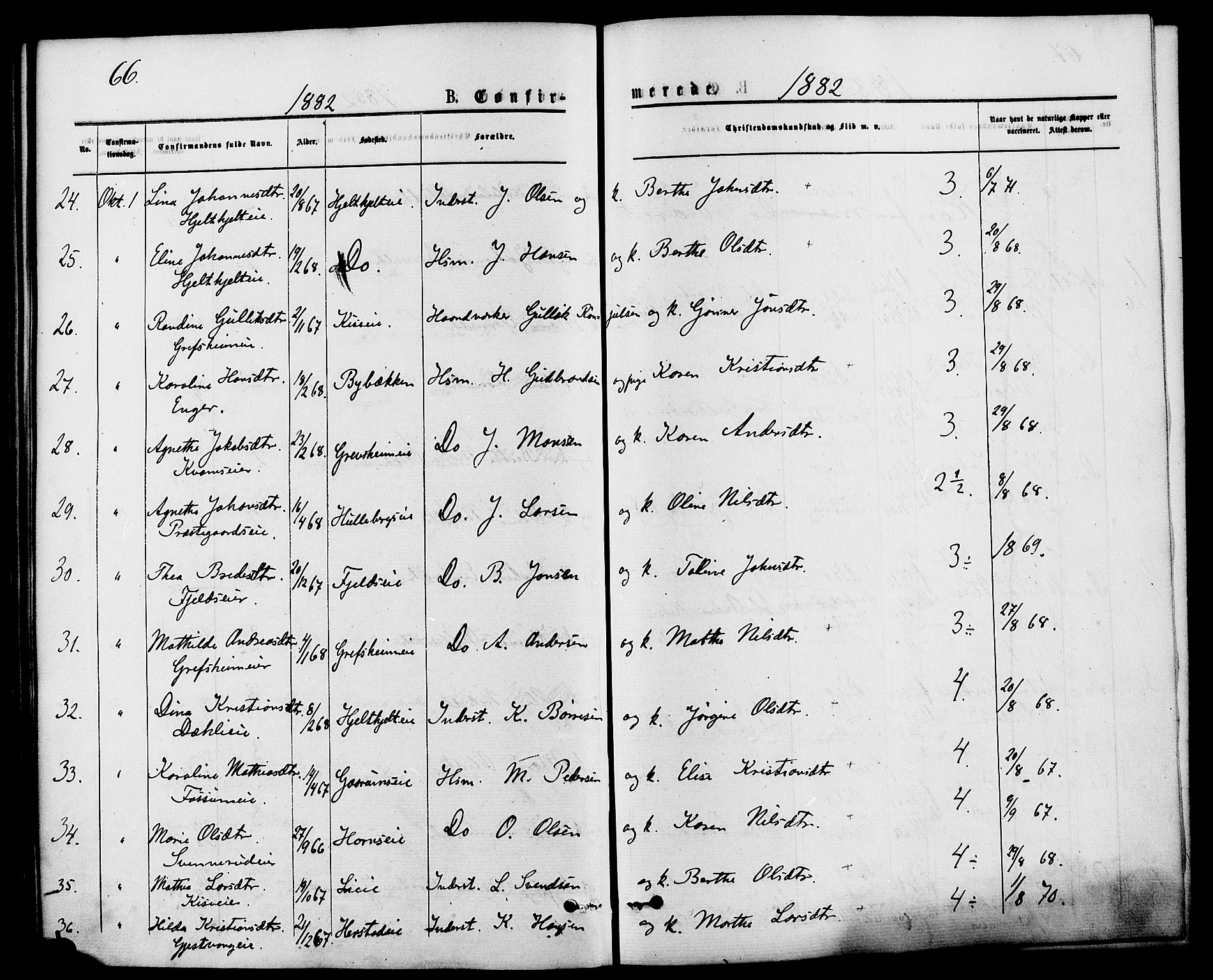 Nes prestekontor, Hedmark, AV/SAH-PREST-020/K/Ka/L0006: Parish register (official) no. 6, 1873-1886, p. 66