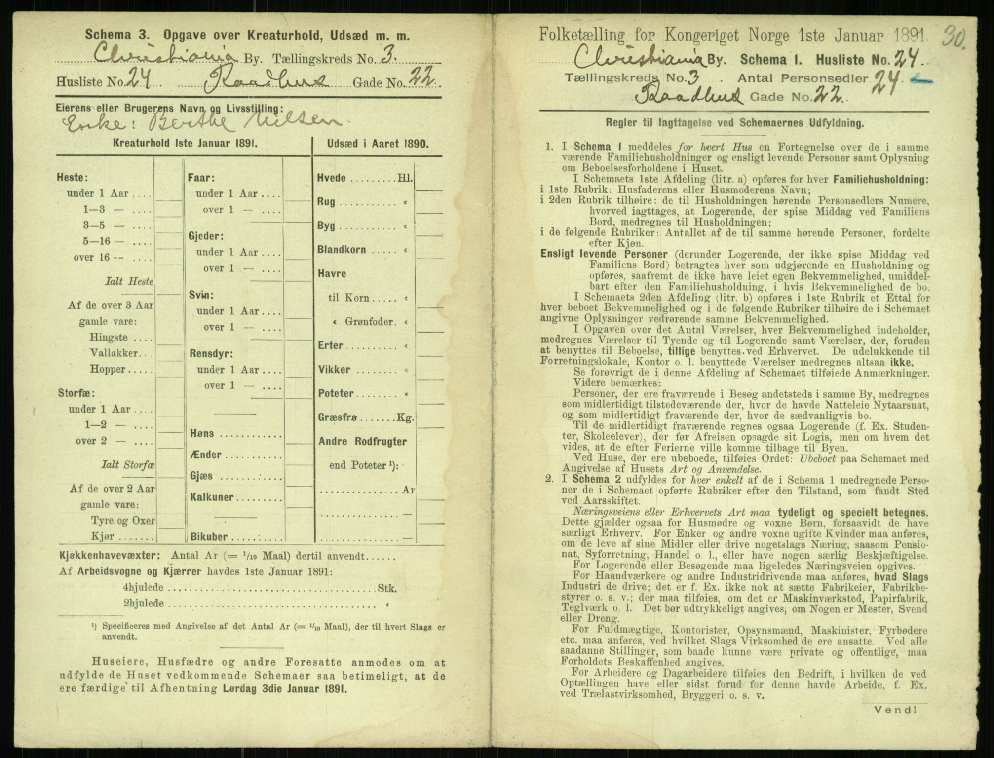 RA, 1891 census for 0301 Kristiania, 1891, p. 1229