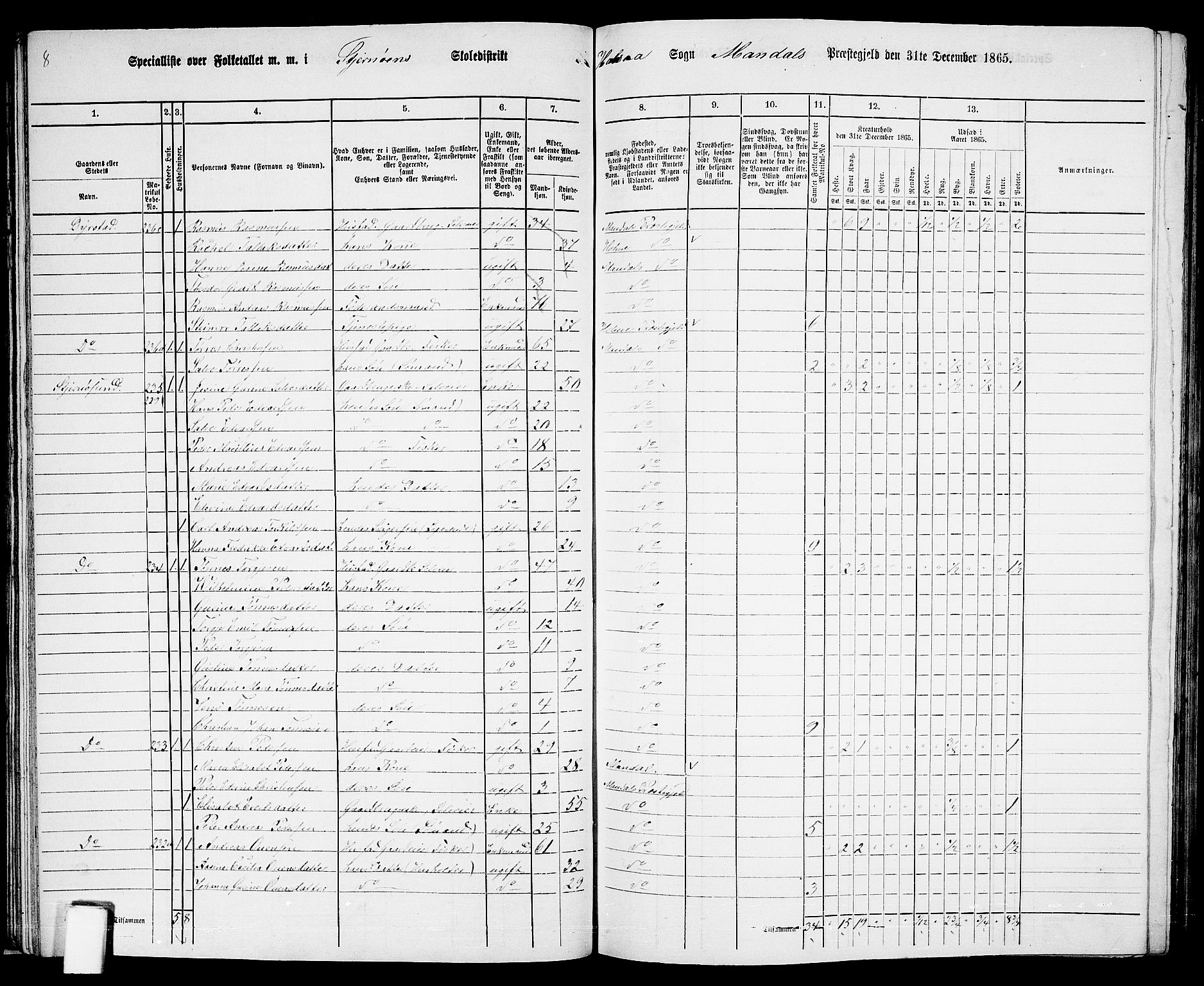 RA, 1865 census for Mandal/Halse og Harkmark, 1865, p. 41