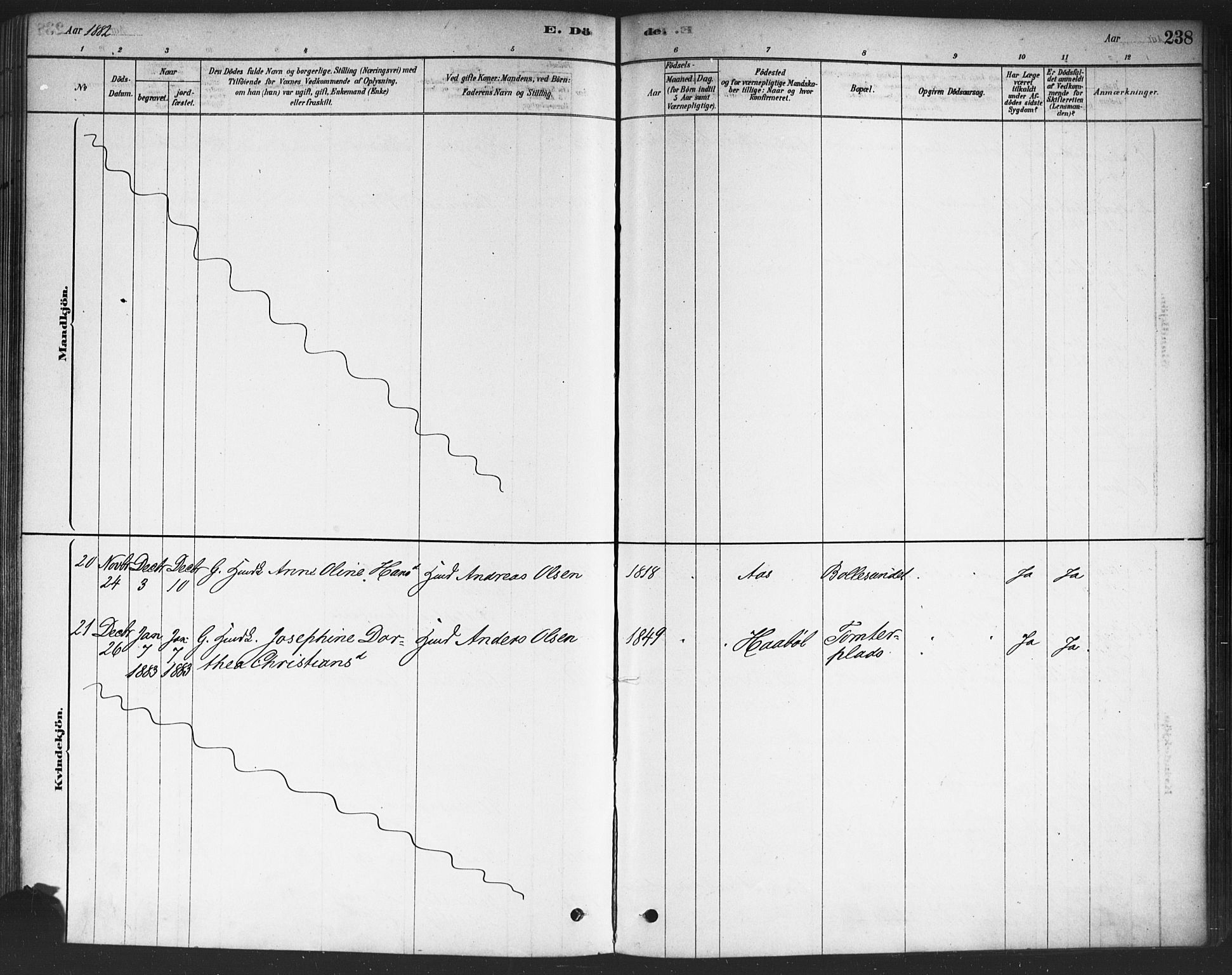 Drøbak prestekontor Kirkebøker, SAO/A-10142a/F/Fc/L0002: Parish register (official) no. III 2, 1878-1891, p. 238