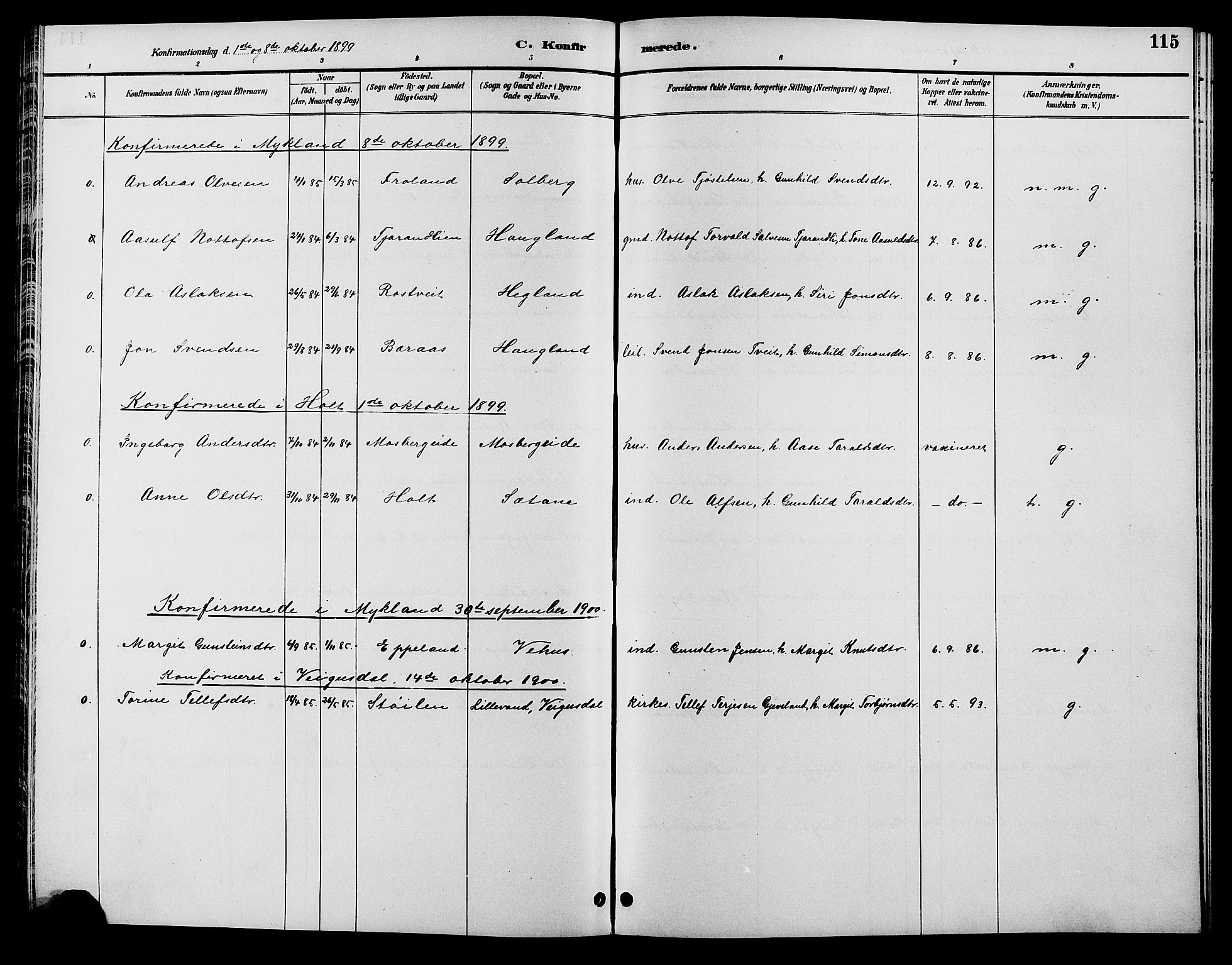 Åmli sokneprestkontor, AV/SAK-1111-0050/F/Fb/Fbc/L0004: Parish register (copy) no. B 4, 1889-1902, p. 115