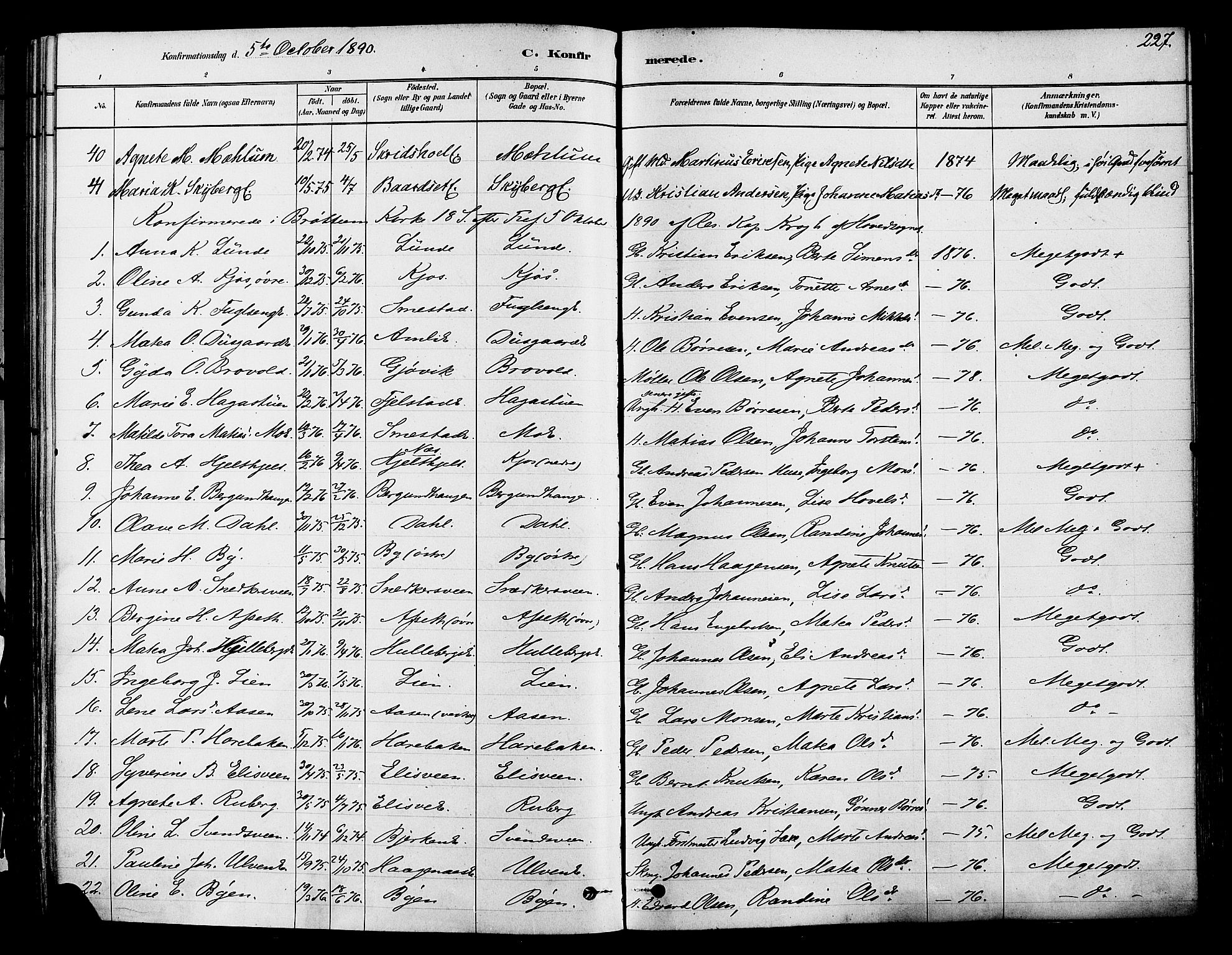 Ringsaker prestekontor, SAH/PREST-014/K/Ka/L0012: Parish register (official) no. 12, 1879-1890, p. 227