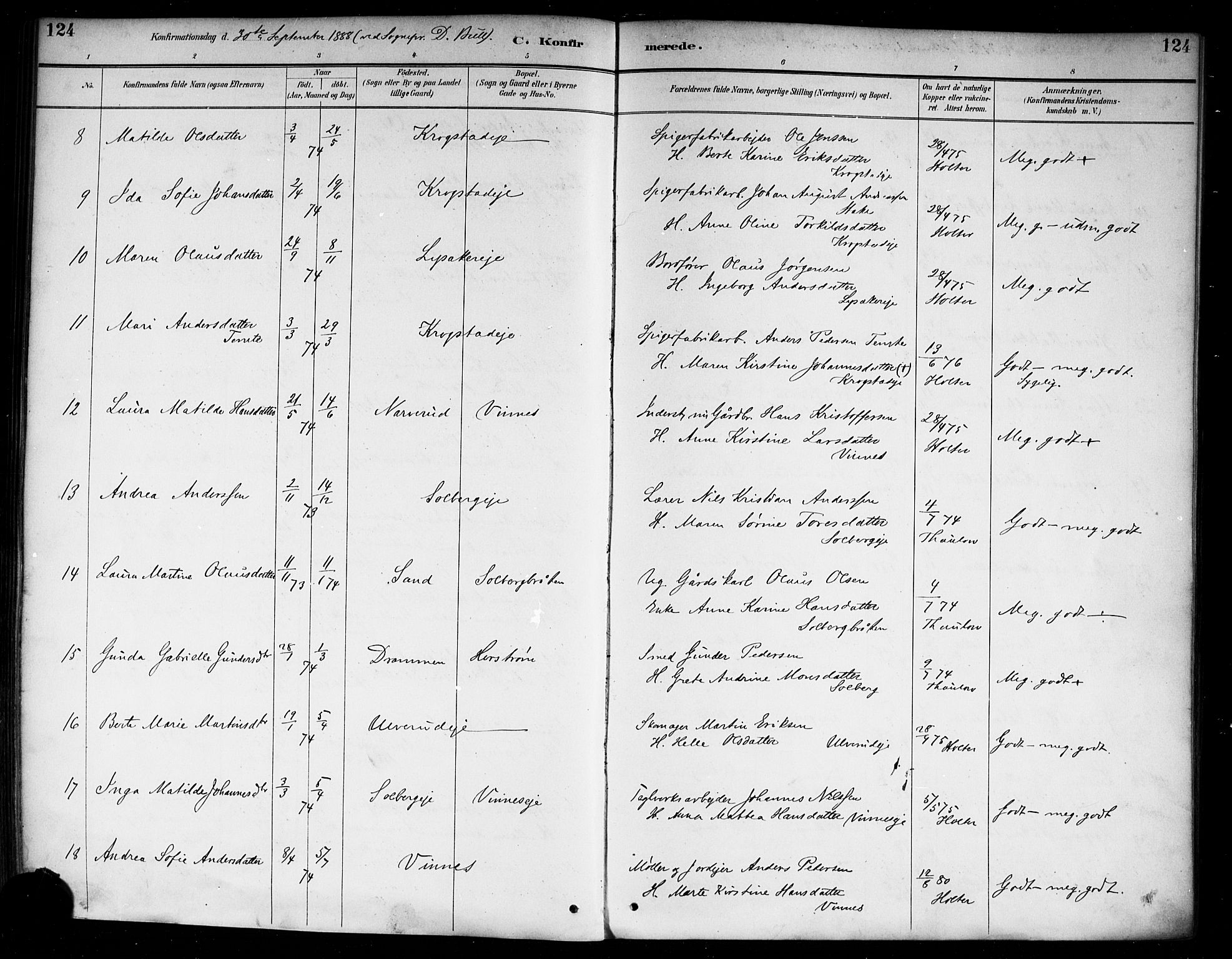 Nedre Eiker kirkebøker, AV/SAKO-A-612/F/Fa/L0003: Parish register (official) no. 3, 1885-1892, p. 124