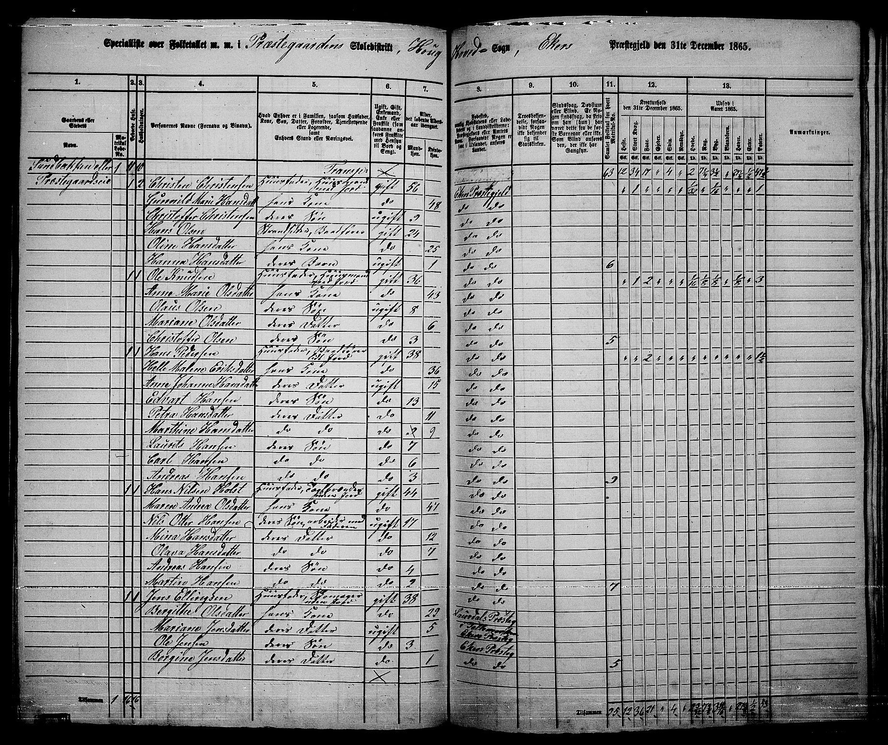 RA, 1865 census for Eiker, 1865, p. 175