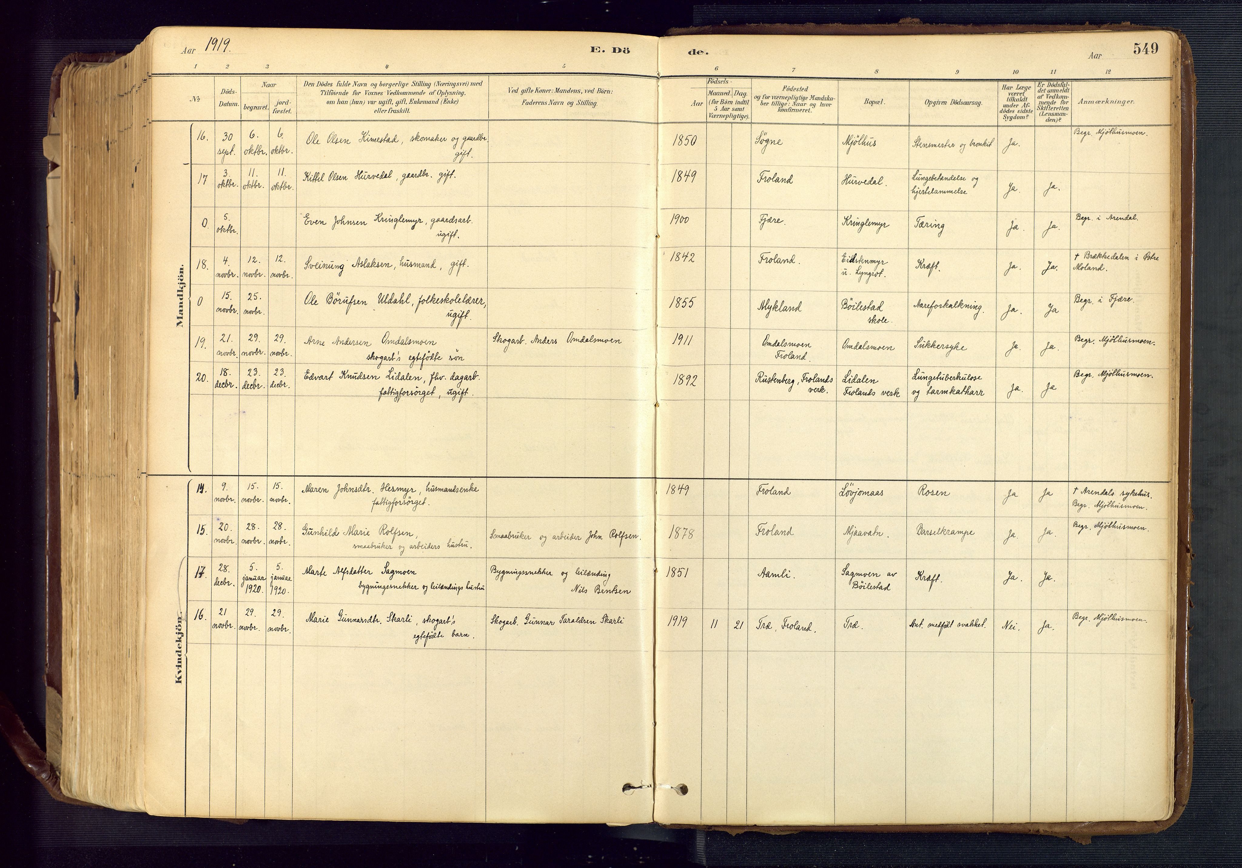 Froland sokneprestkontor, AV/SAK-1111-0013/F/Fa/L0005: Parish register (official) no. A 5, 1882-1921, p. 549