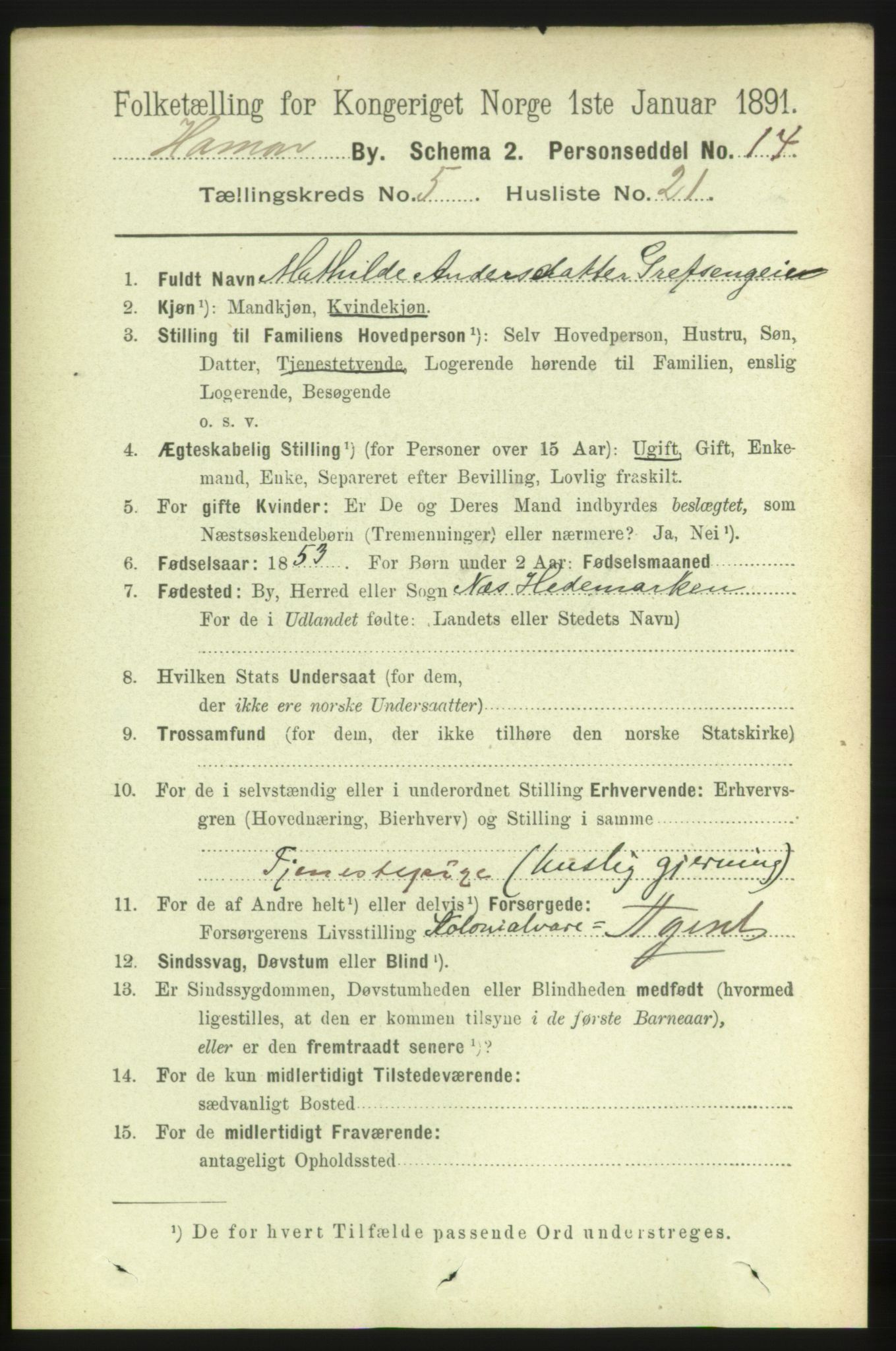RA, 1891 census for 0401 Hamar, 1891, p. 4052