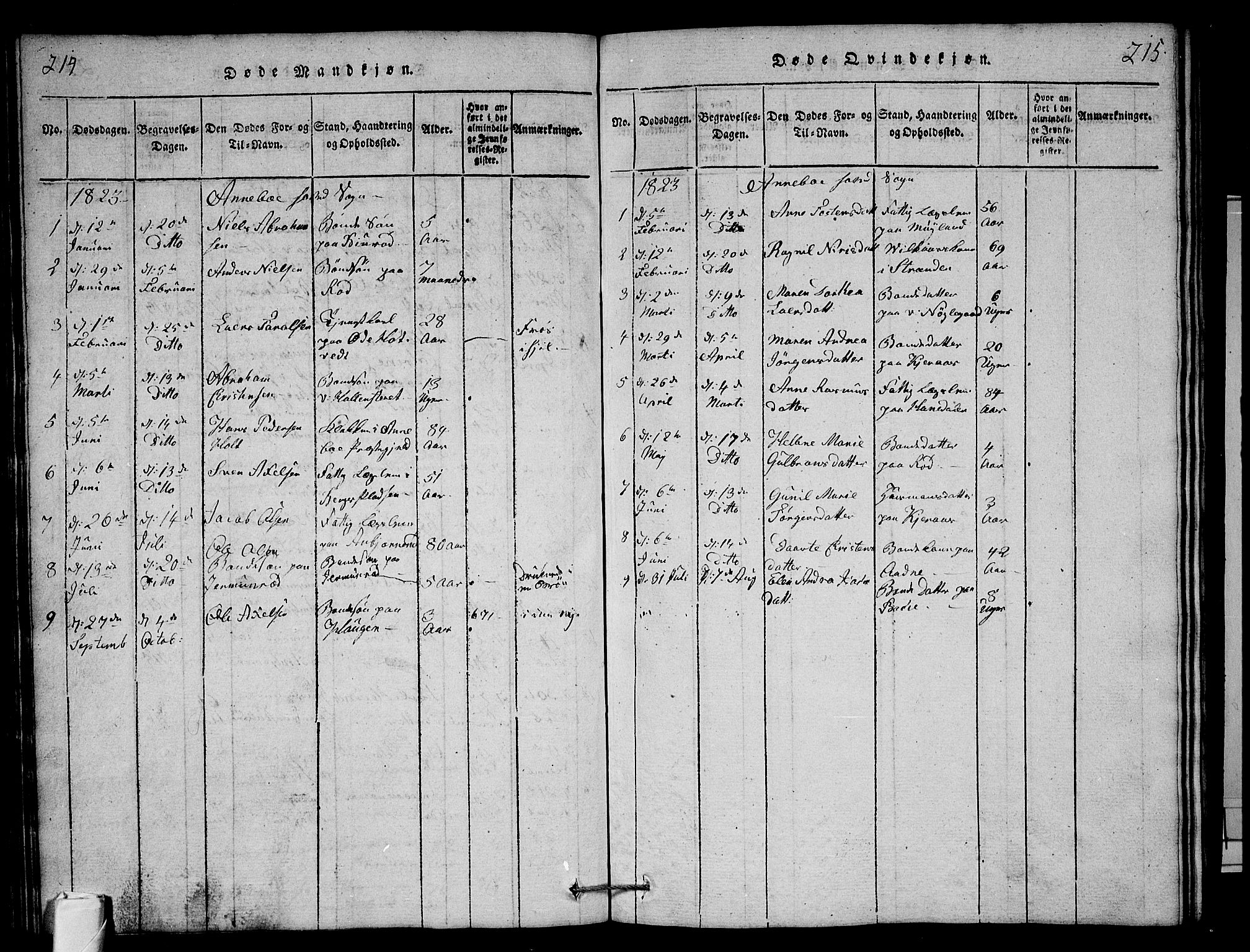 Andebu kirkebøker, AV/SAKO-A-336/G/Ga/L0001: Parish register (copy) no. I 1 /1, 1815-1823, p. 214-215