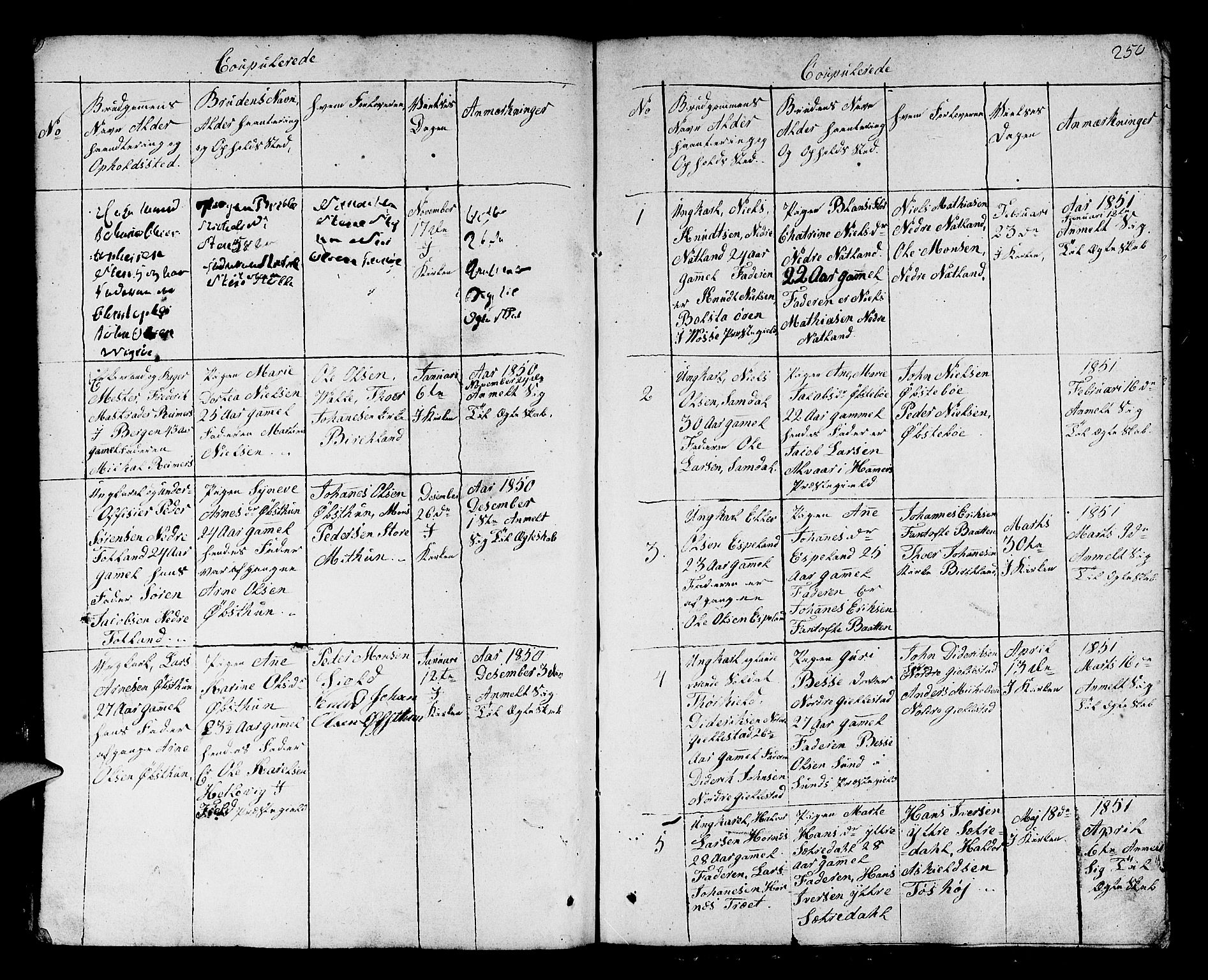 Fana Sokneprestembete, SAB/A-75101/H/Hab/Habb/L0001: Parish register (copy) no. B 1, 1837-1855, p. 250