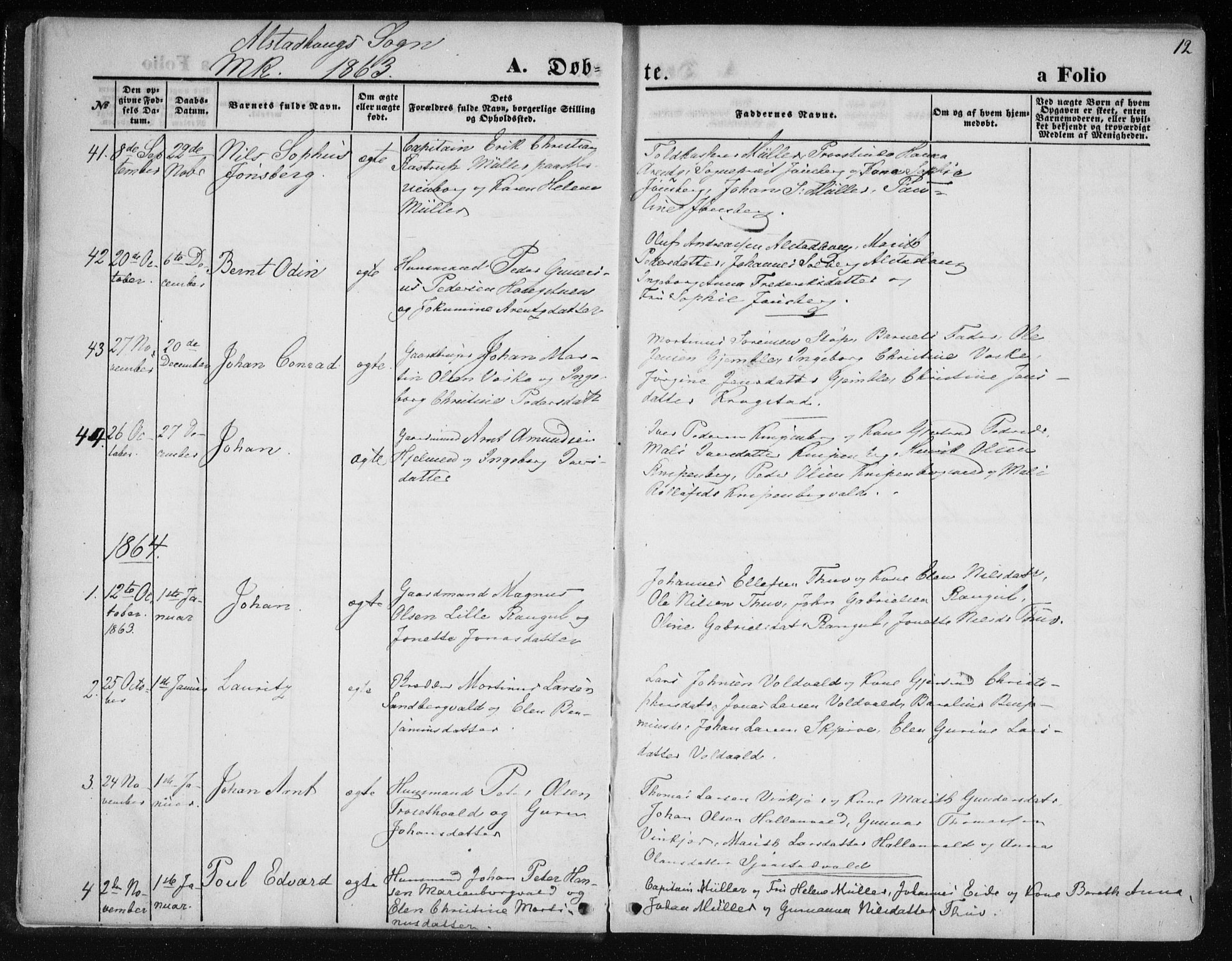 Ministerialprotokoller, klokkerbøker og fødselsregistre - Nord-Trøndelag, SAT/A-1458/717/L0157: Parish register (official) no. 717A08 /1, 1863-1877, p. 12