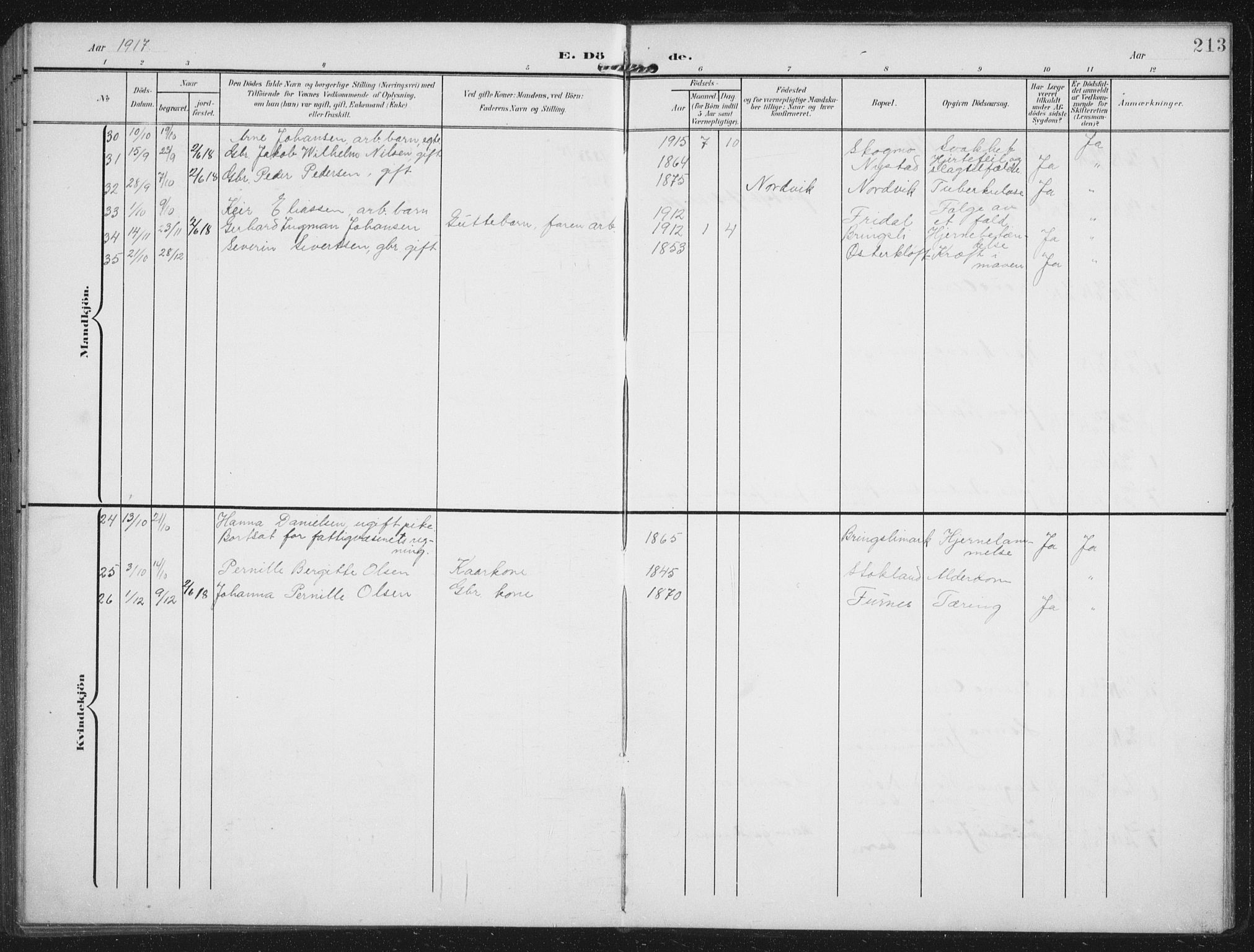 Ministerialprotokoller, klokkerbøker og fødselsregistre - Nordland, AV/SAT-A-1459/851/L0726: Parish register (copy) no. 851C01, 1902-1924, p. 213