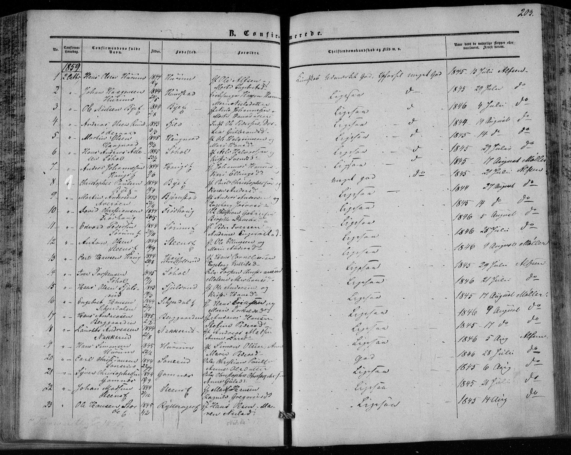 Hole kirkebøker, SAKO/A-228/F/Fa/L0006: Parish register (official) no. I 6, 1852-1872, p. 203