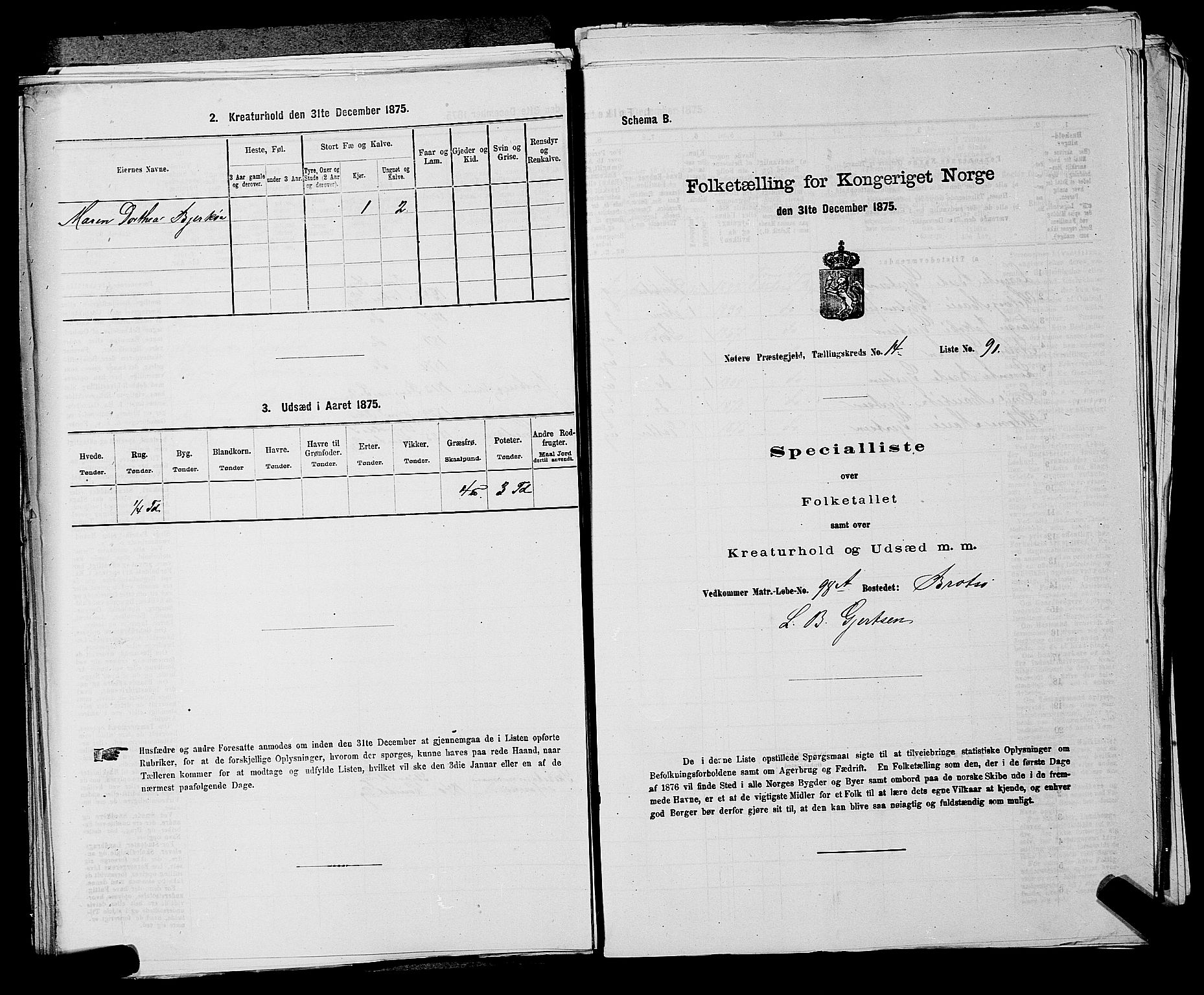 SAKO, 1875 census for 0722P Nøtterøy, 1875, p. 3082