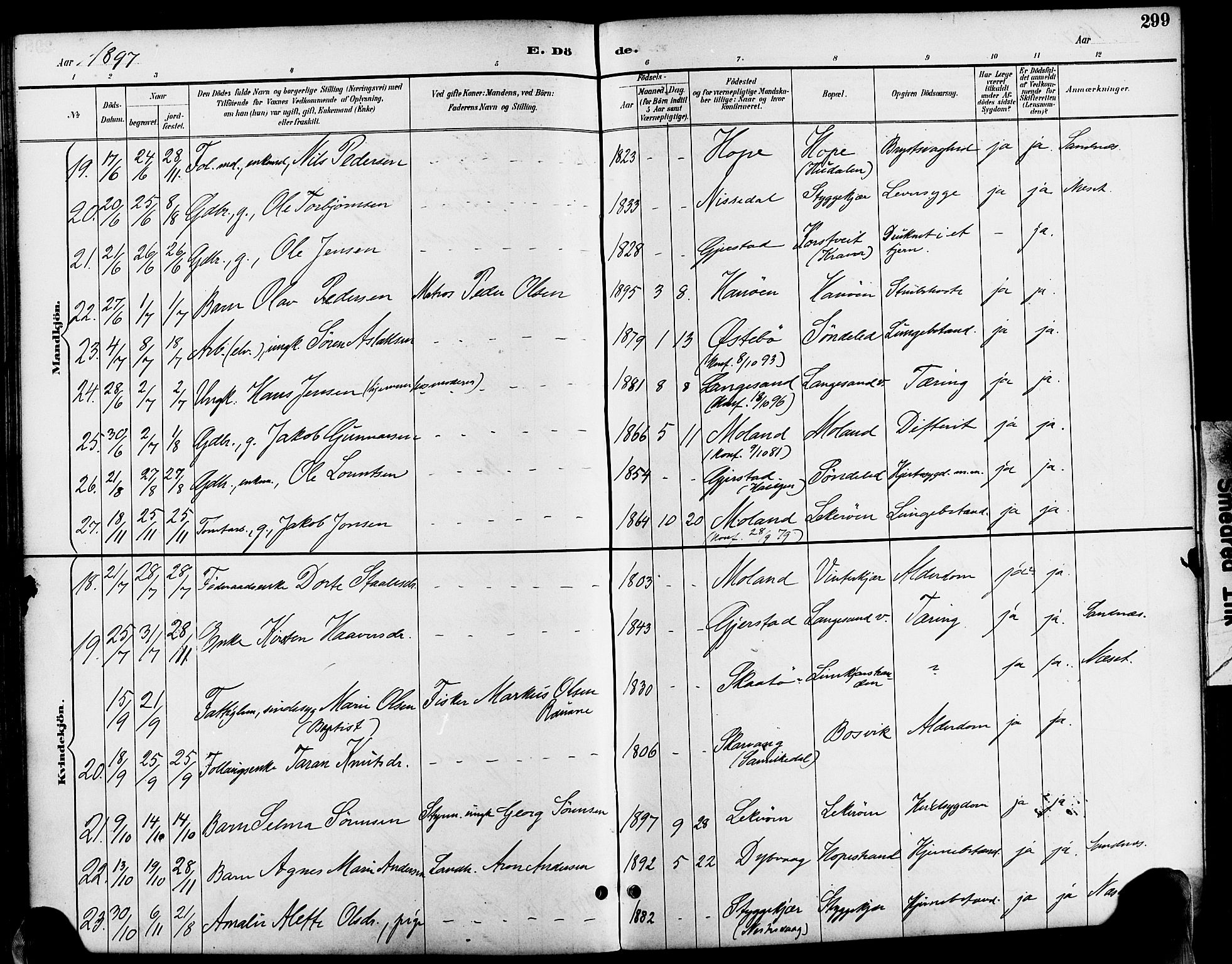 Søndeled sokneprestkontor, AV/SAK-1111-0038/F/Fa/L0005: Parish register (official) no. A 5, 1889-1899, p. 299