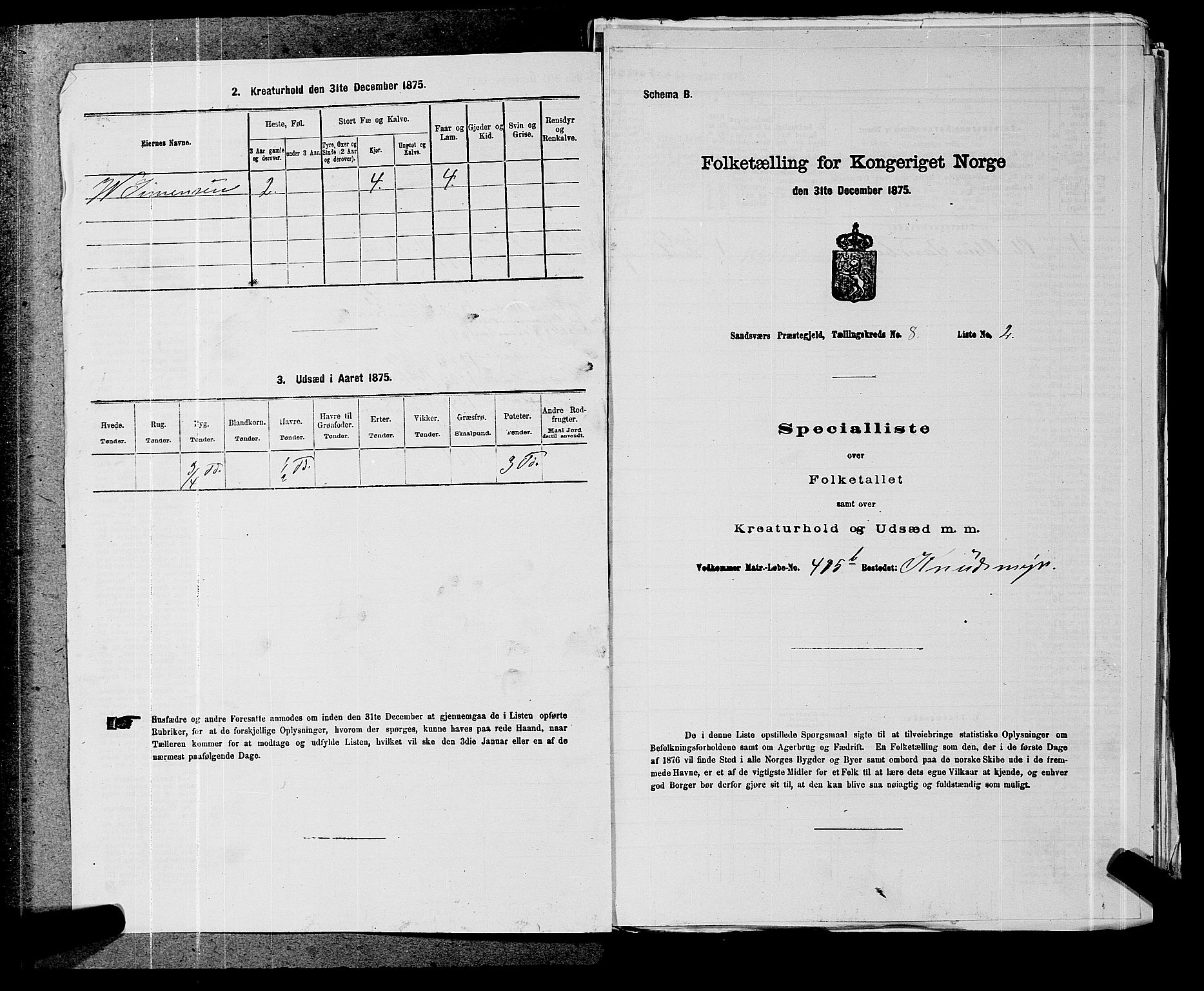 SAKO, 1875 census for 0629P Sandsvær, 1875, p. 1433