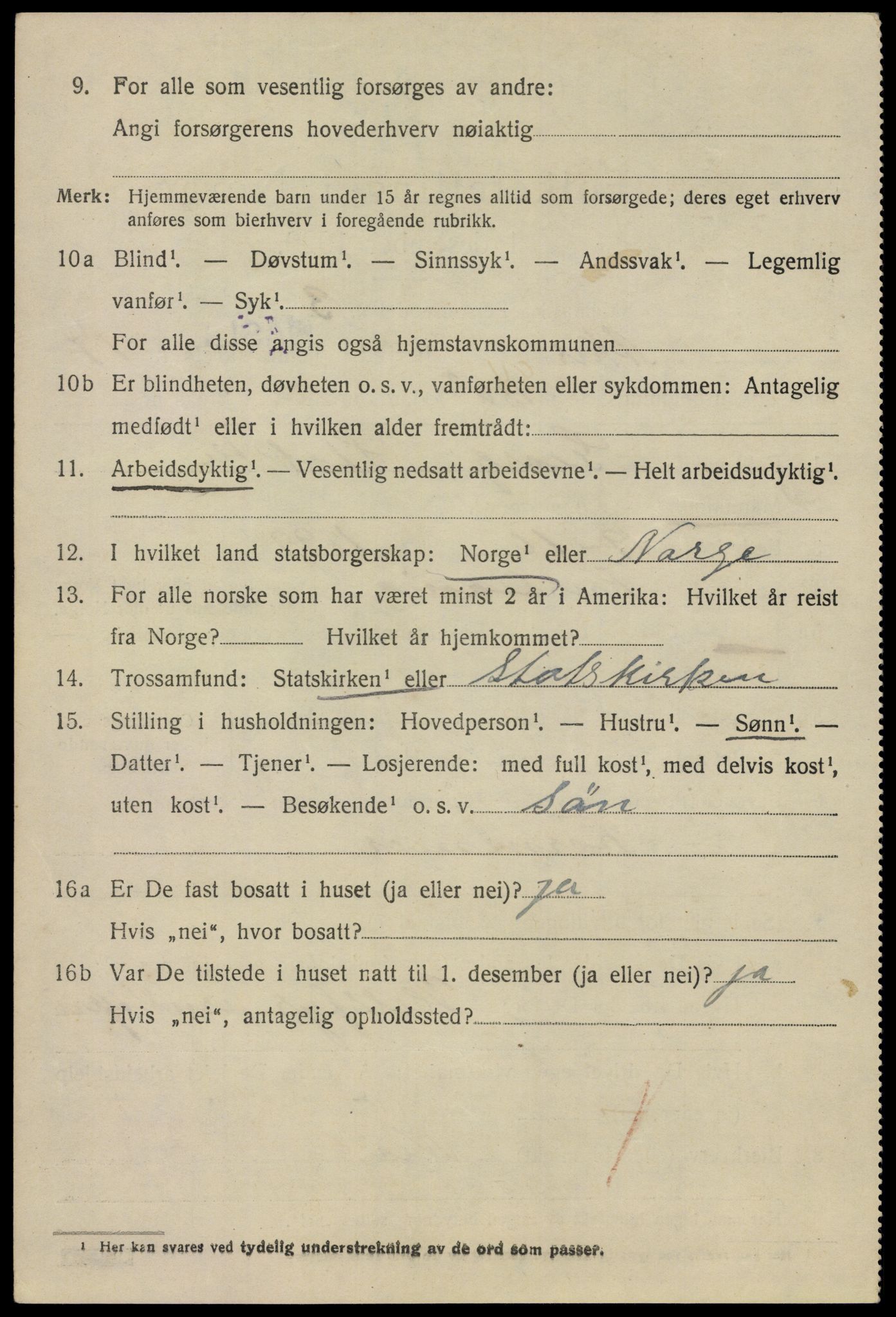 SAO, 1920 census for Aker, 1920, p. 106315