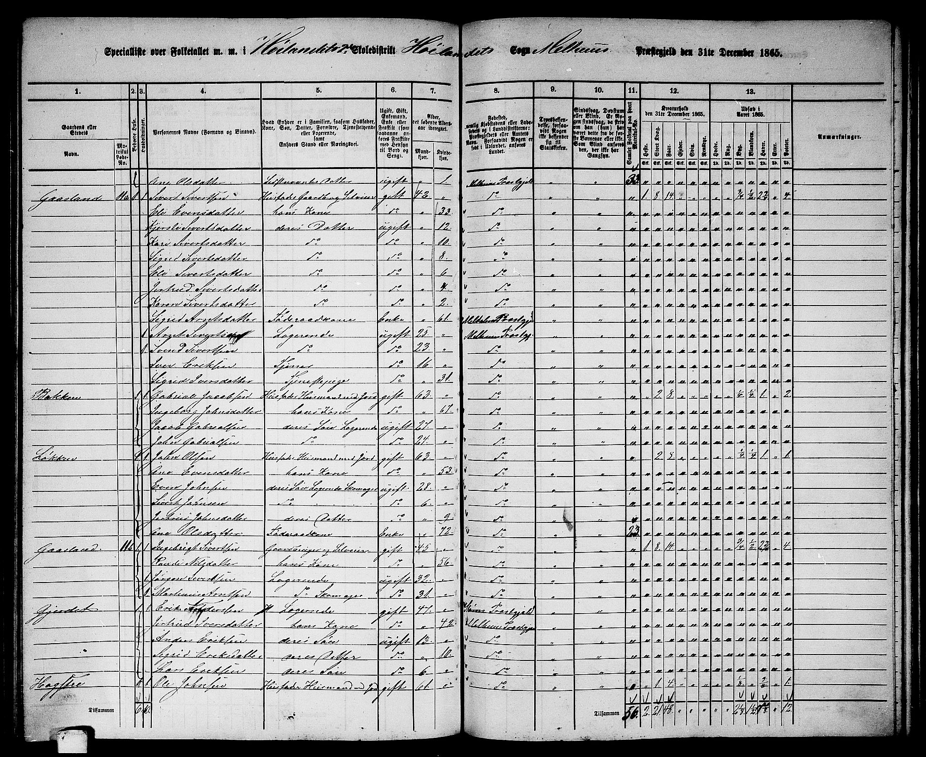 RA, 1865 census for Melhus, 1865, p. 188