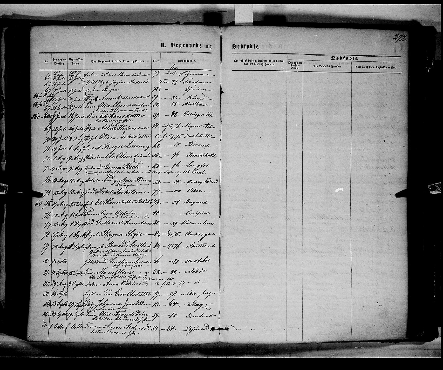 Eidskog prestekontor, AV/SAH-PREST-026/H/Ha/Haa/L0002: Parish register (official) no. 2, 1867-1878, p. 272