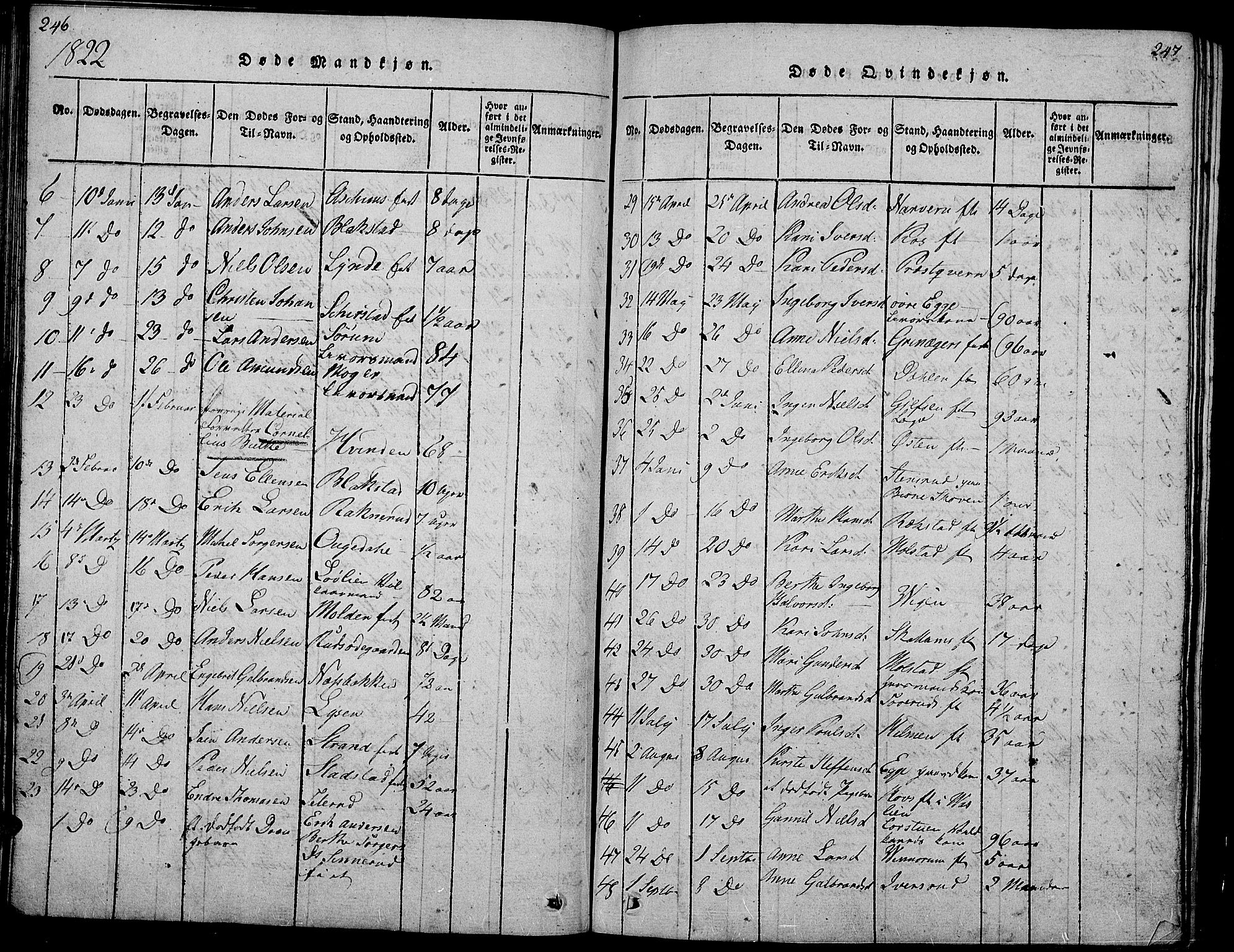 Gran prestekontor, SAH/PREST-112/H/Ha/Hab/L0001: Parish register (copy) no. 1, 1815-1824, p. 246-247