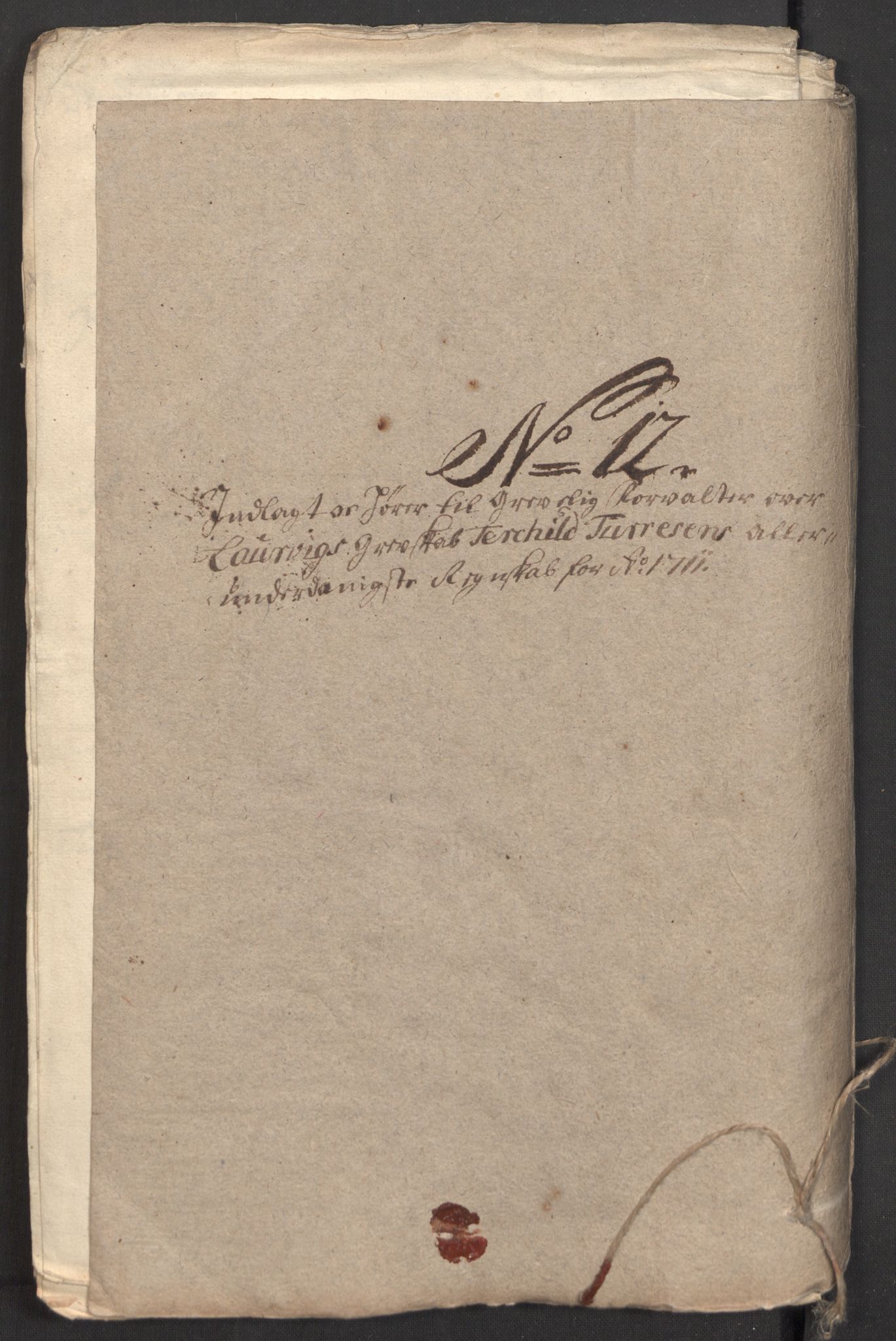 Rentekammeret inntil 1814, Reviderte regnskaper, Fogderegnskap, RA/EA-4092/R33/L1982: Fogderegnskap Larvik grevskap, 1711, p. 251