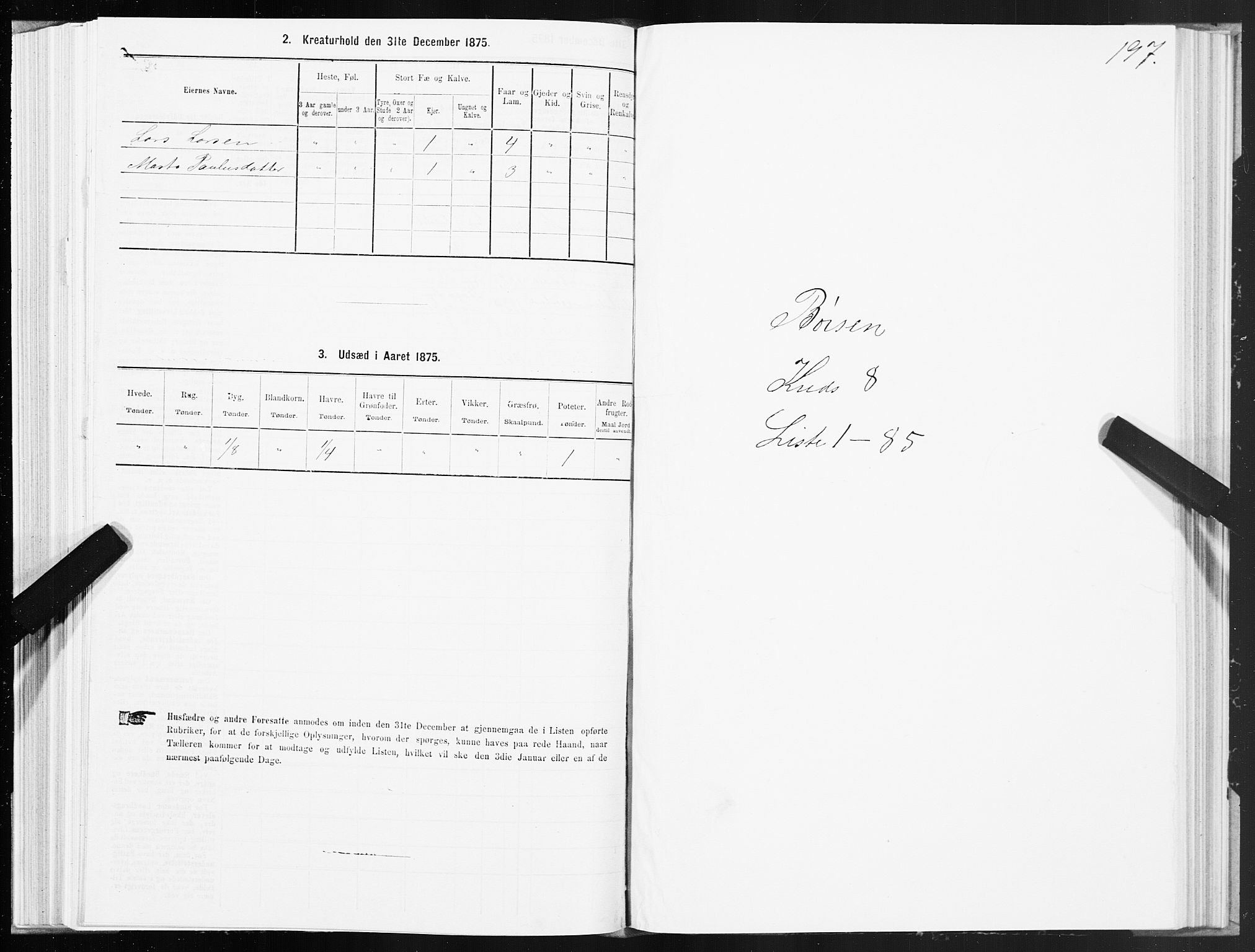 SAT, 1875 census for 1658P Børsa, 1875, p. 5197