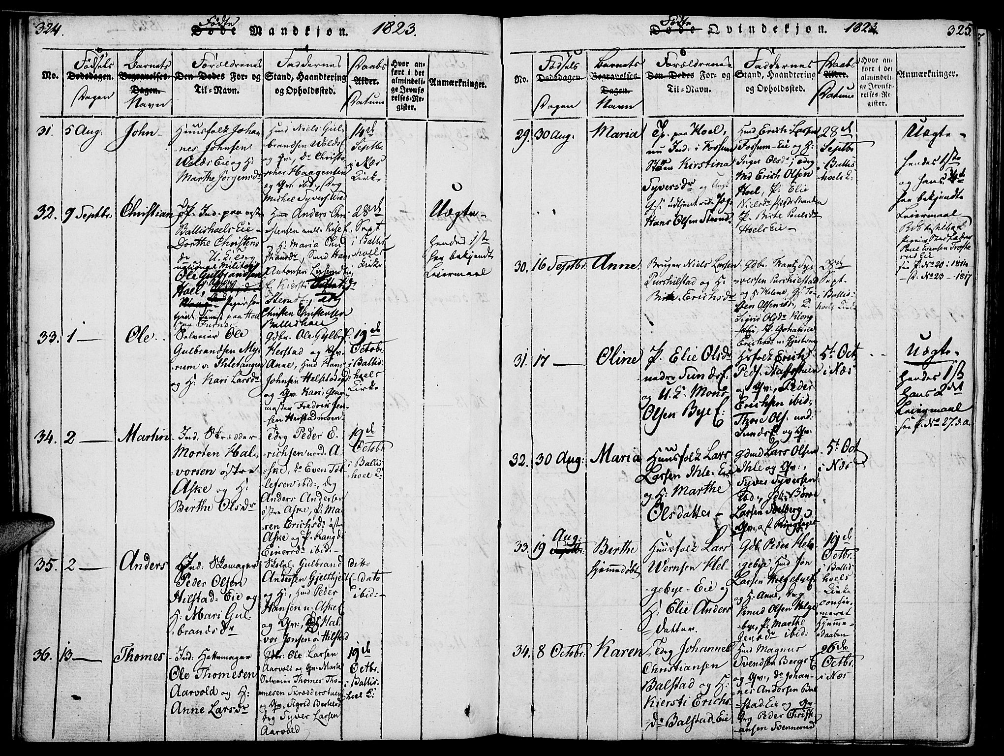 Nes prestekontor, Hedmark, SAH/PREST-020/K/Ka/L0002: Parish register (official) no. 2, 1813-1827, p. 324-325