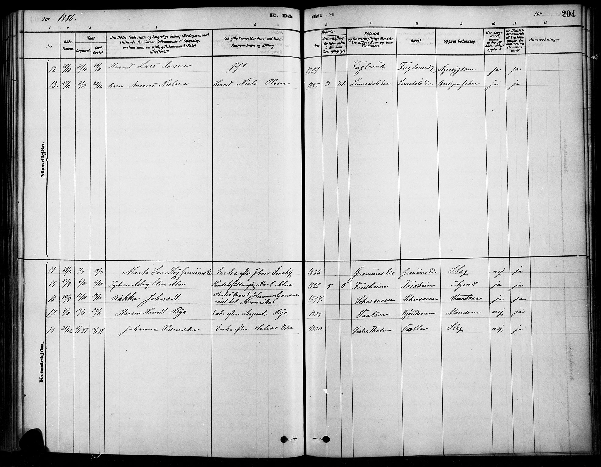 Søndre Land prestekontor, AV/SAH-PREST-122/K/L0003: Parish register (official) no. 3, 1878-1894, p. 204