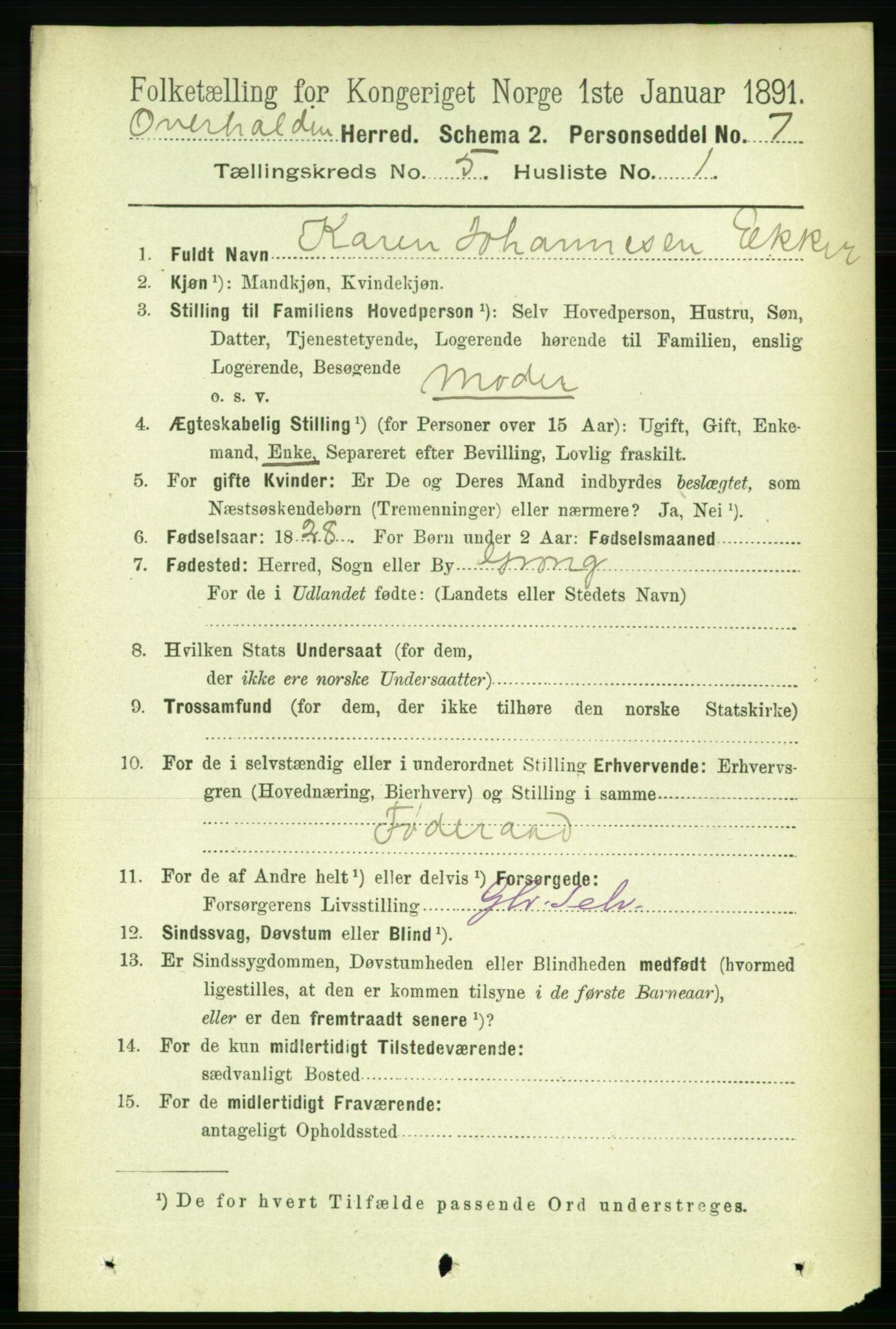 RA, 1891 census for 1744 Overhalla, 1891, p. 1677