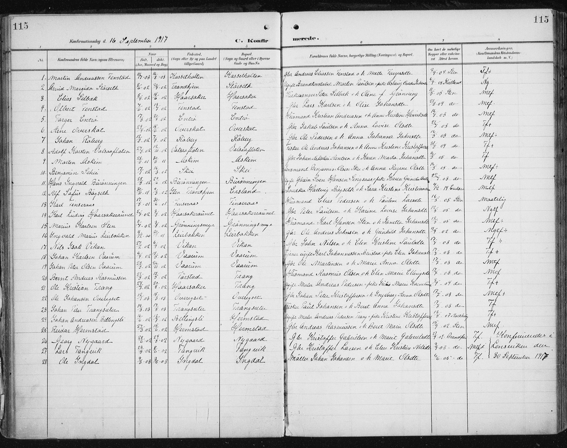 Ministerialprotokoller, klokkerbøker og fødselsregistre - Sør-Trøndelag, AV/SAT-A-1456/646/L0616: Parish register (official) no. 646A14, 1900-1918, p. 115