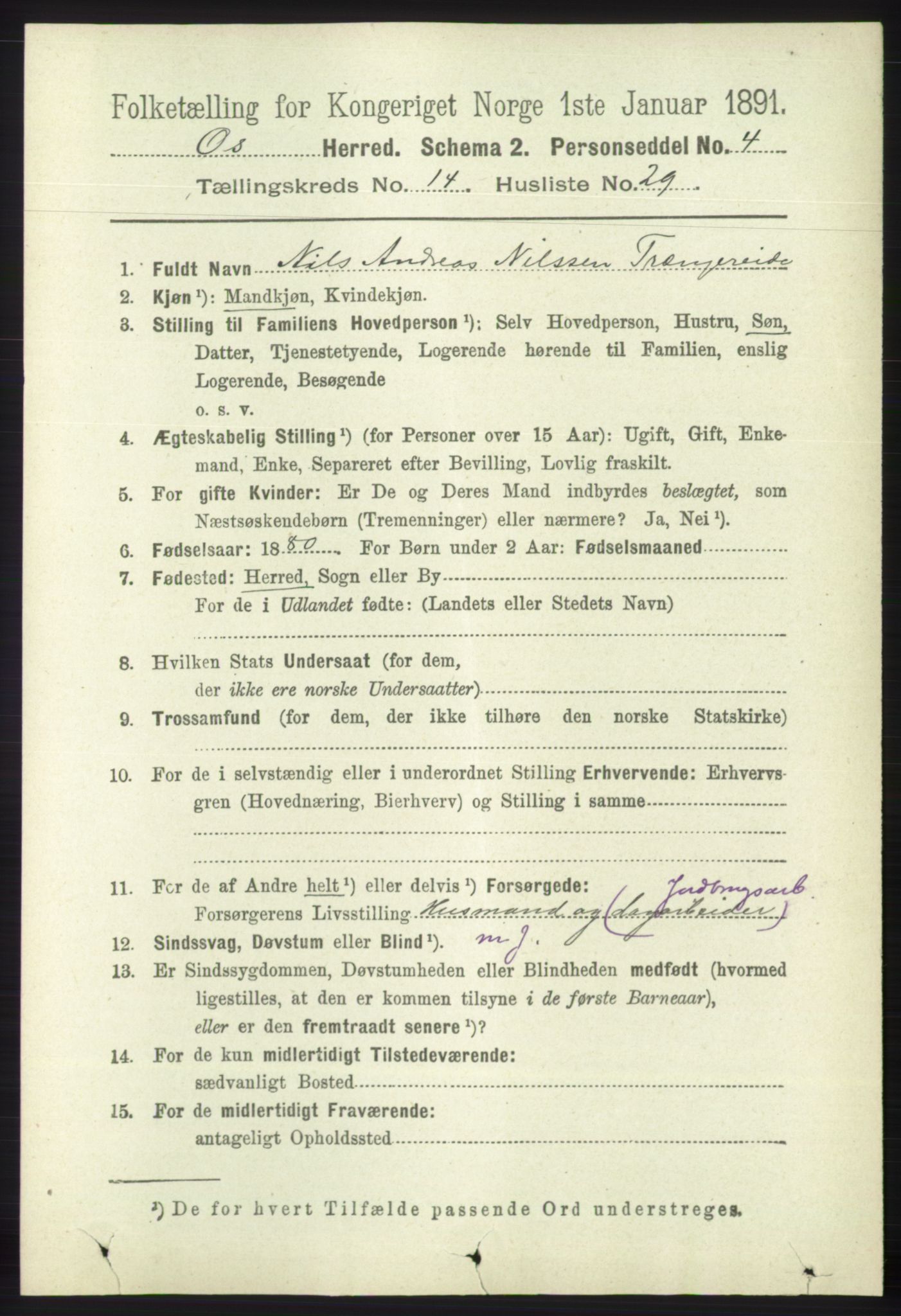 RA, 1891 census for 1243 Os, 1891, p. 3251