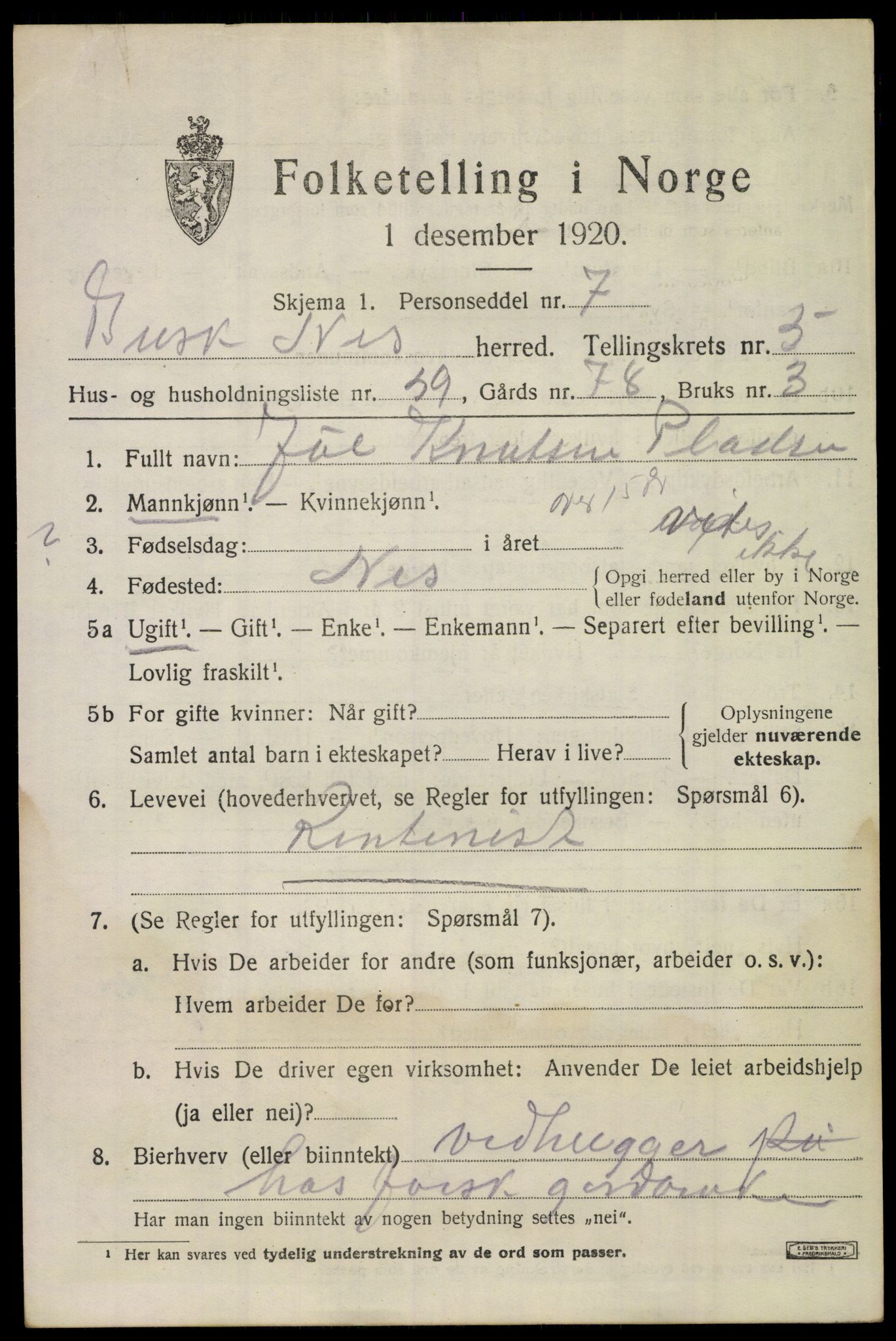 SAKO, 1920 census for Nes (Buskerud), 1920, p. 3042