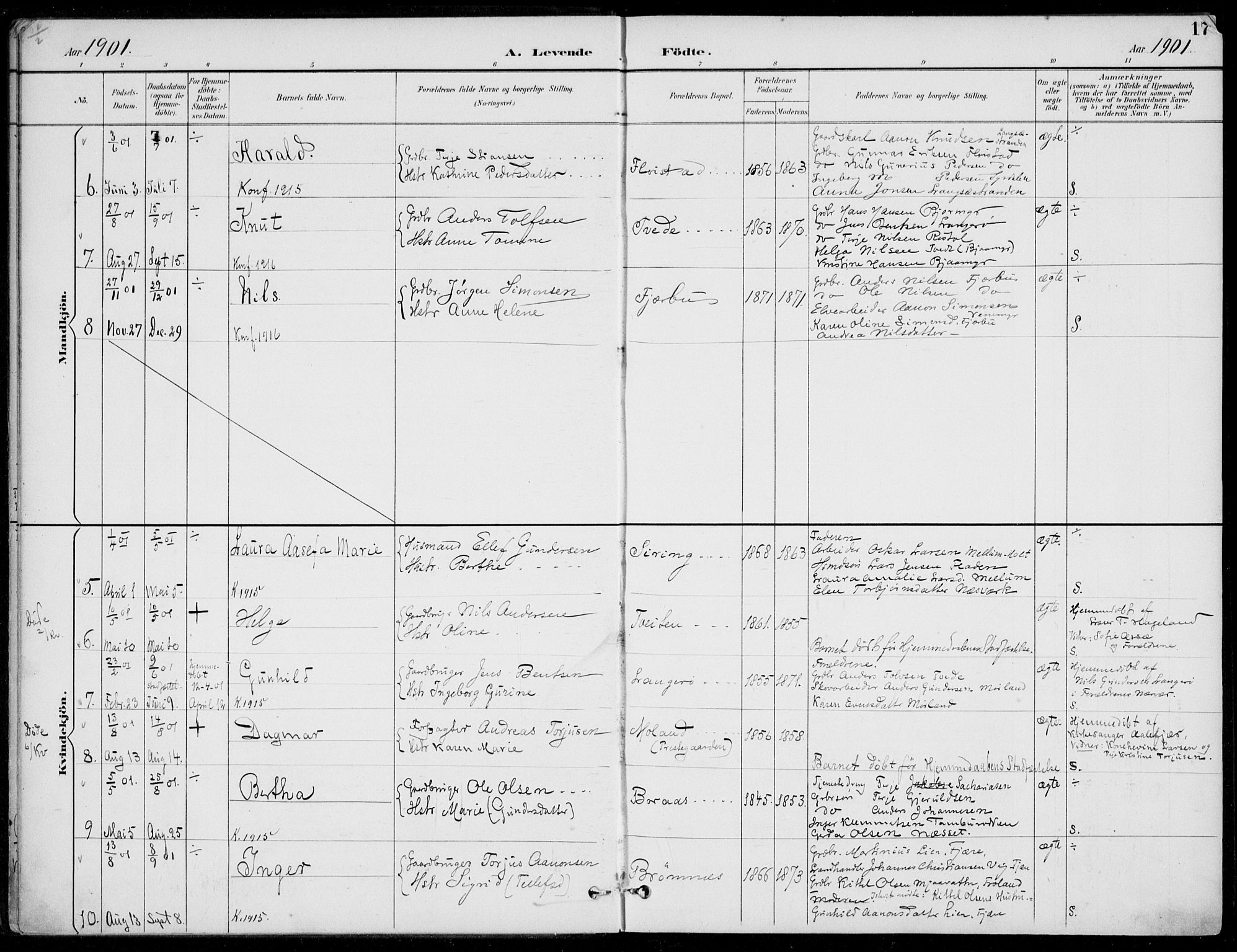 Austre Moland sokneprestkontor, AV/SAK-1111-0001/F/Fa/Faa/L0011: Parish register (official) no. A 11, 1894-1915, p. 17