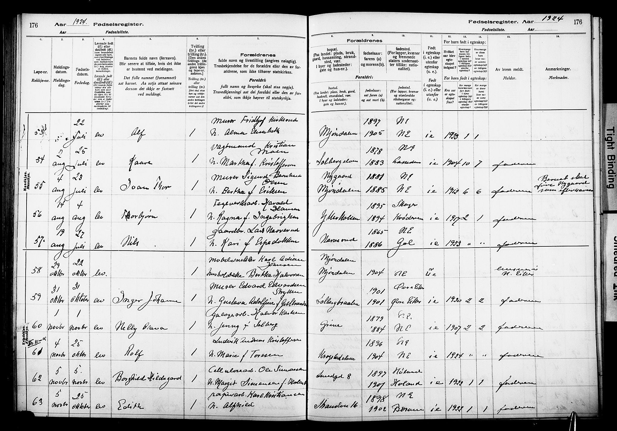 Nedre Eiker kirkebøker, AV/SAKO-A-612/J/Ja/L0001: Birth register no. 1, 1916-1925, p. 176