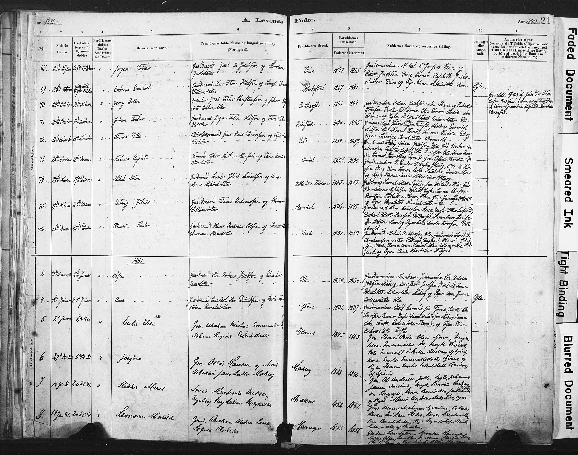 Lista sokneprestkontor, AV/SAK-1111-0027/F/Fa/L0012: Parish register (official) no. A 12, 1879-1903, p. 21