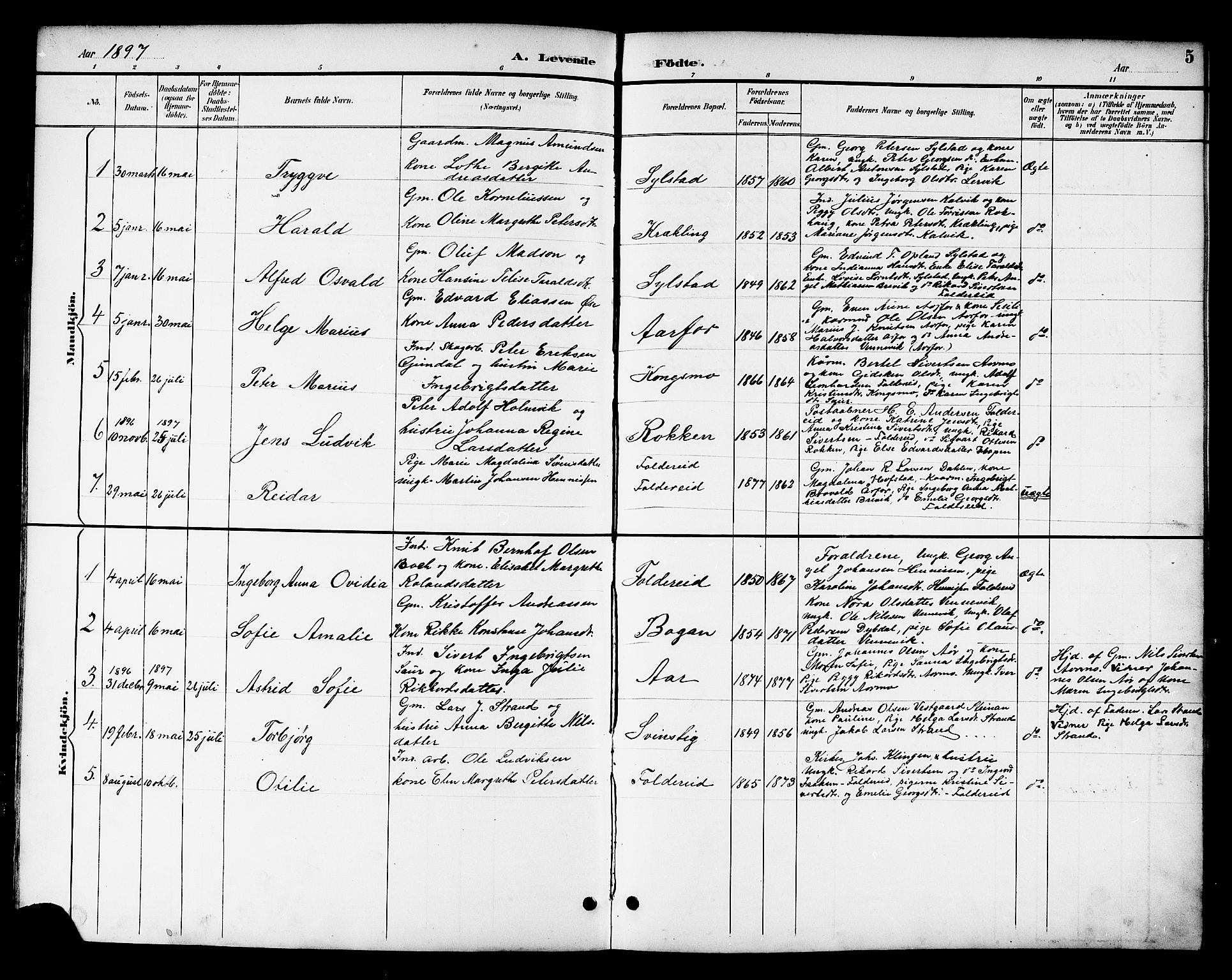 Ministerialprotokoller, klokkerbøker og fødselsregistre - Nord-Trøndelag, AV/SAT-A-1458/783/L0662: Parish register (copy) no. 783C02, 1894-1919, p. 5