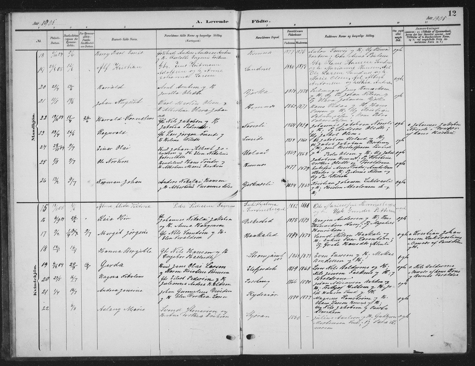 Ministerialprotokoller, klokkerbøker og fødselsregistre - Nordland, AV/SAT-A-1459/825/L0370: Parish register (copy) no. 825C07, 1903-1923, p. 12