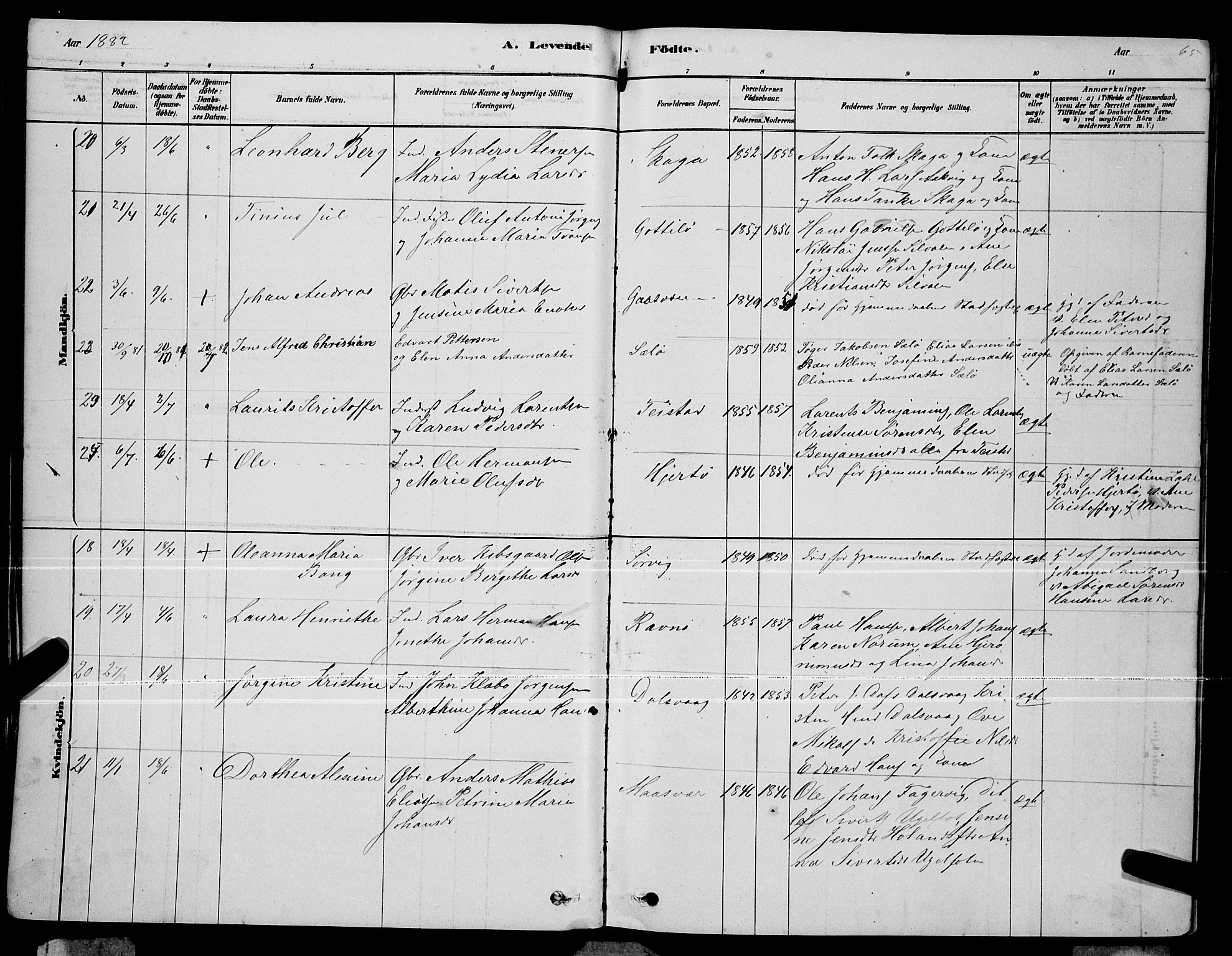 Ministerialprotokoller, klokkerbøker og fødselsregistre - Nordland, AV/SAT-A-1459/834/L0513: Parish register (copy) no. 834C04, 1877-1892, p. 65