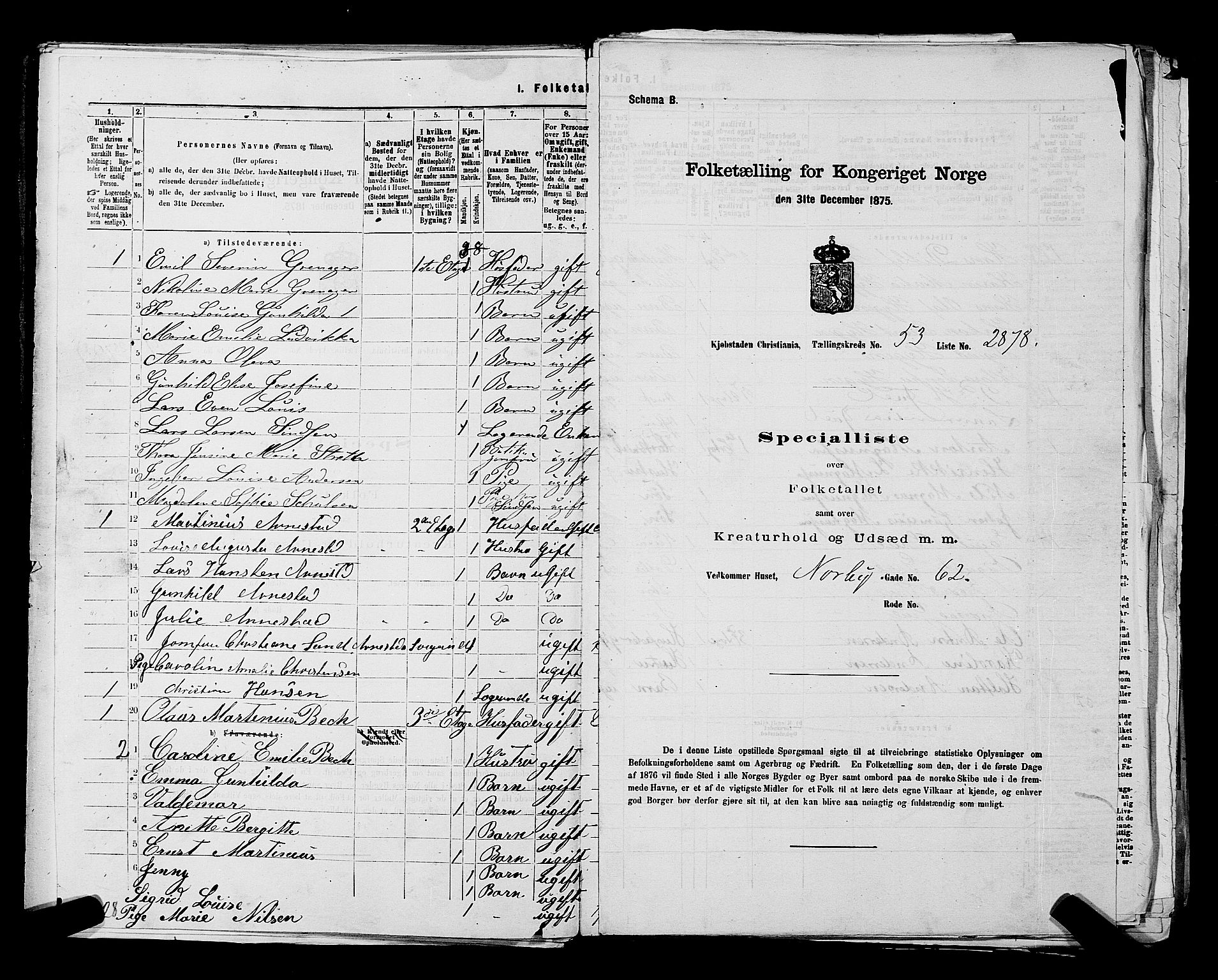 RA, 1875 census for 0301 Kristiania, 1875, p. 8110
