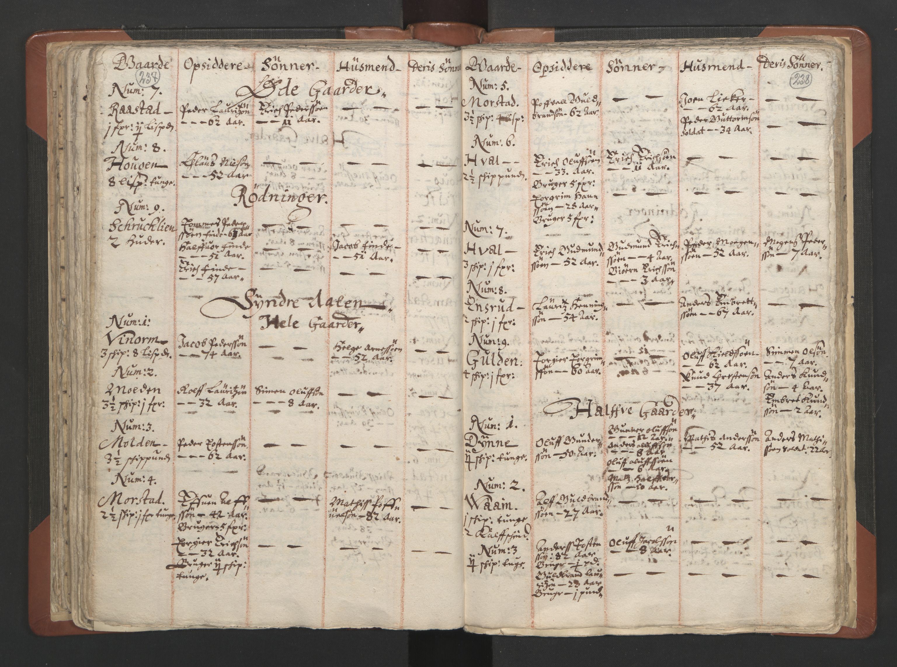 RA, Vicar's Census 1664-1666, no. 7: Hadeland deanery, 1664-1666, p. 237-238