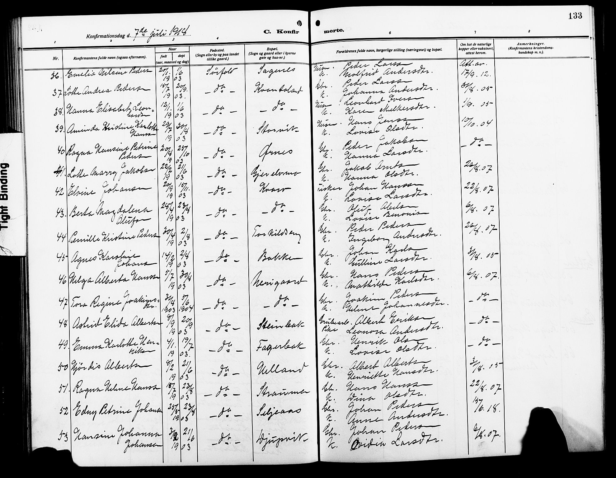 Ministerialprotokoller, klokkerbøker og fødselsregistre - Nordland, AV/SAT-A-1459/854/L0787: Parish register (copy) no. 854C03, 1913-1926, p. 133